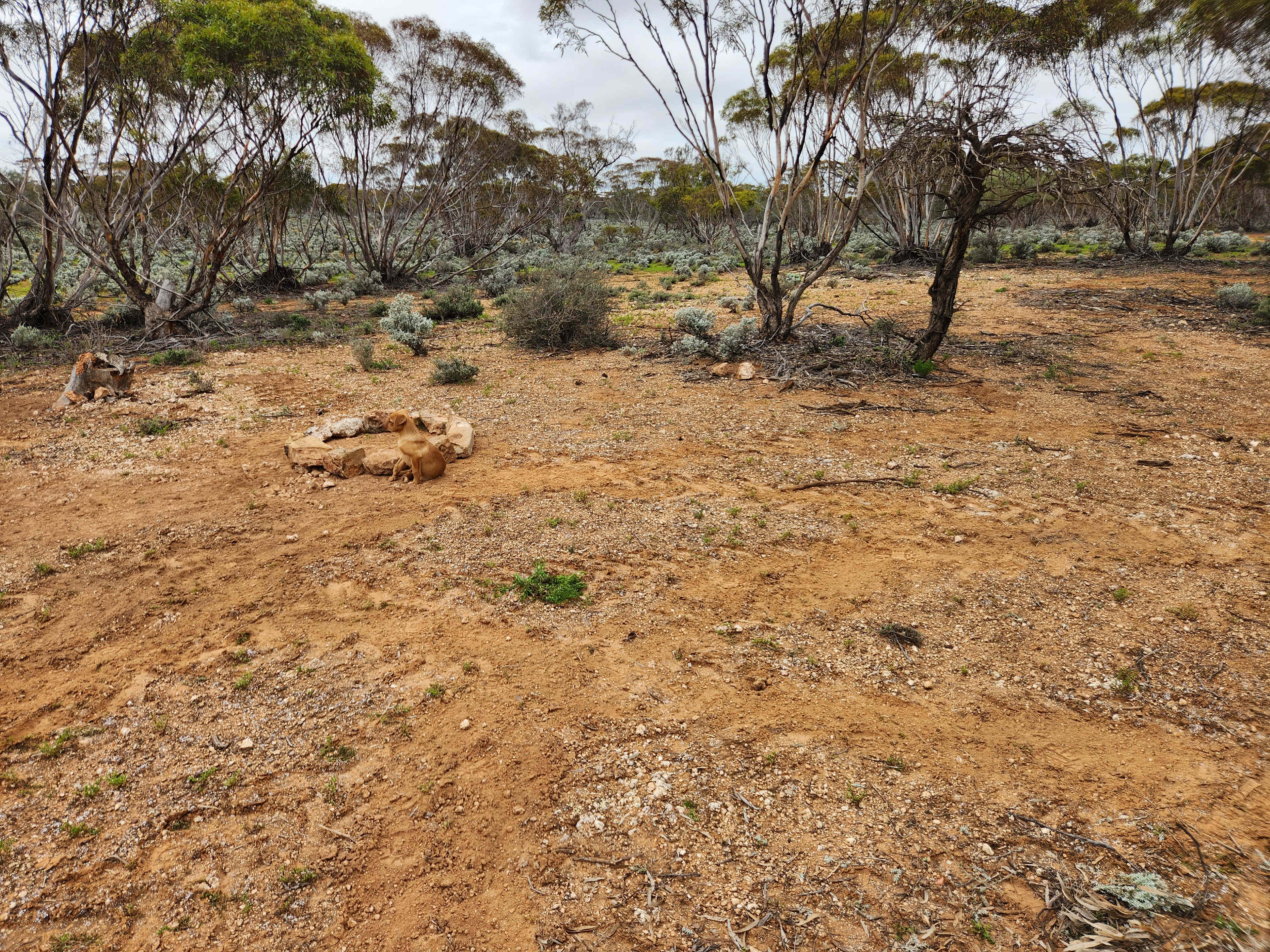 Picture of the site