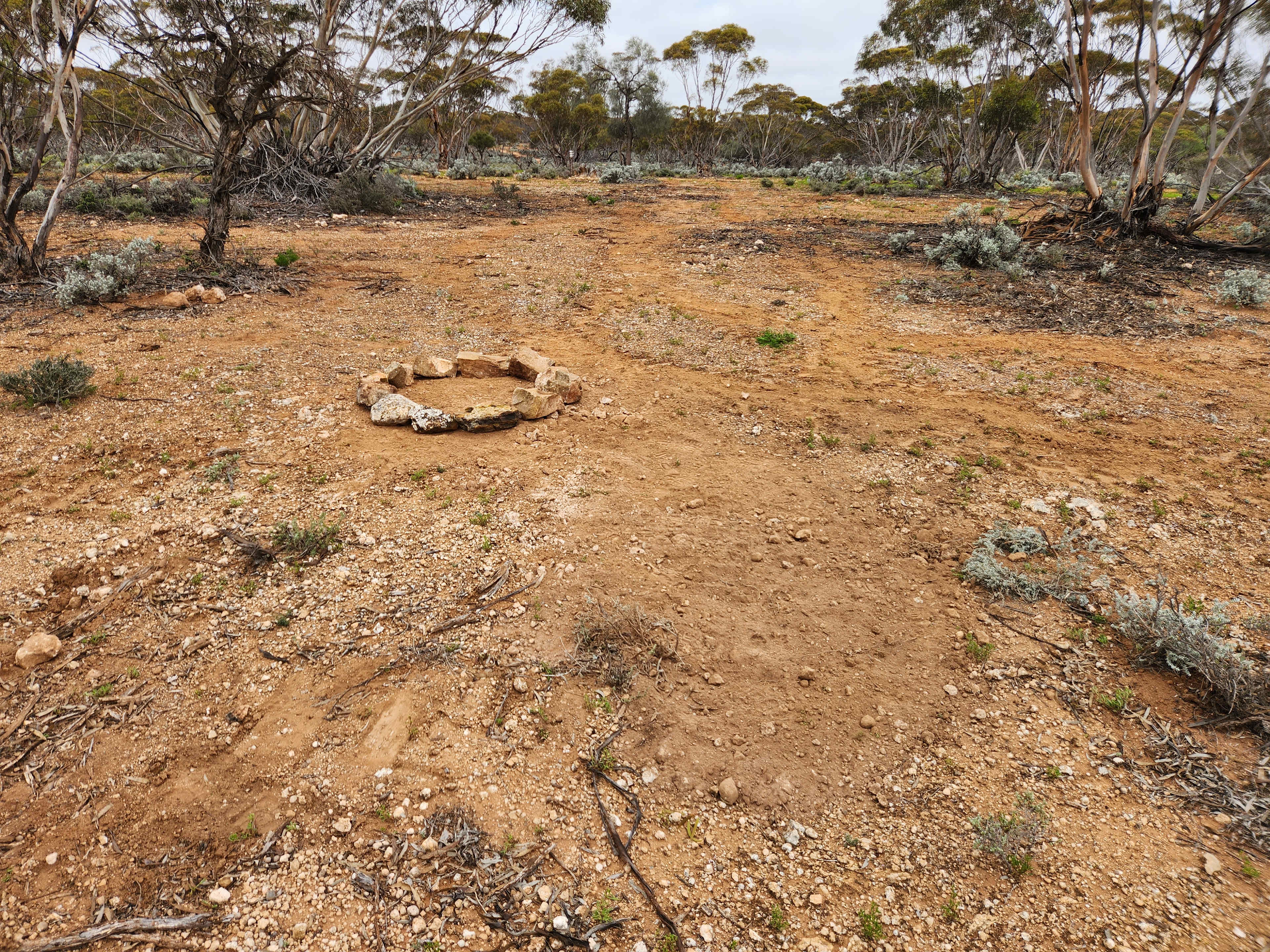 Picture of the site