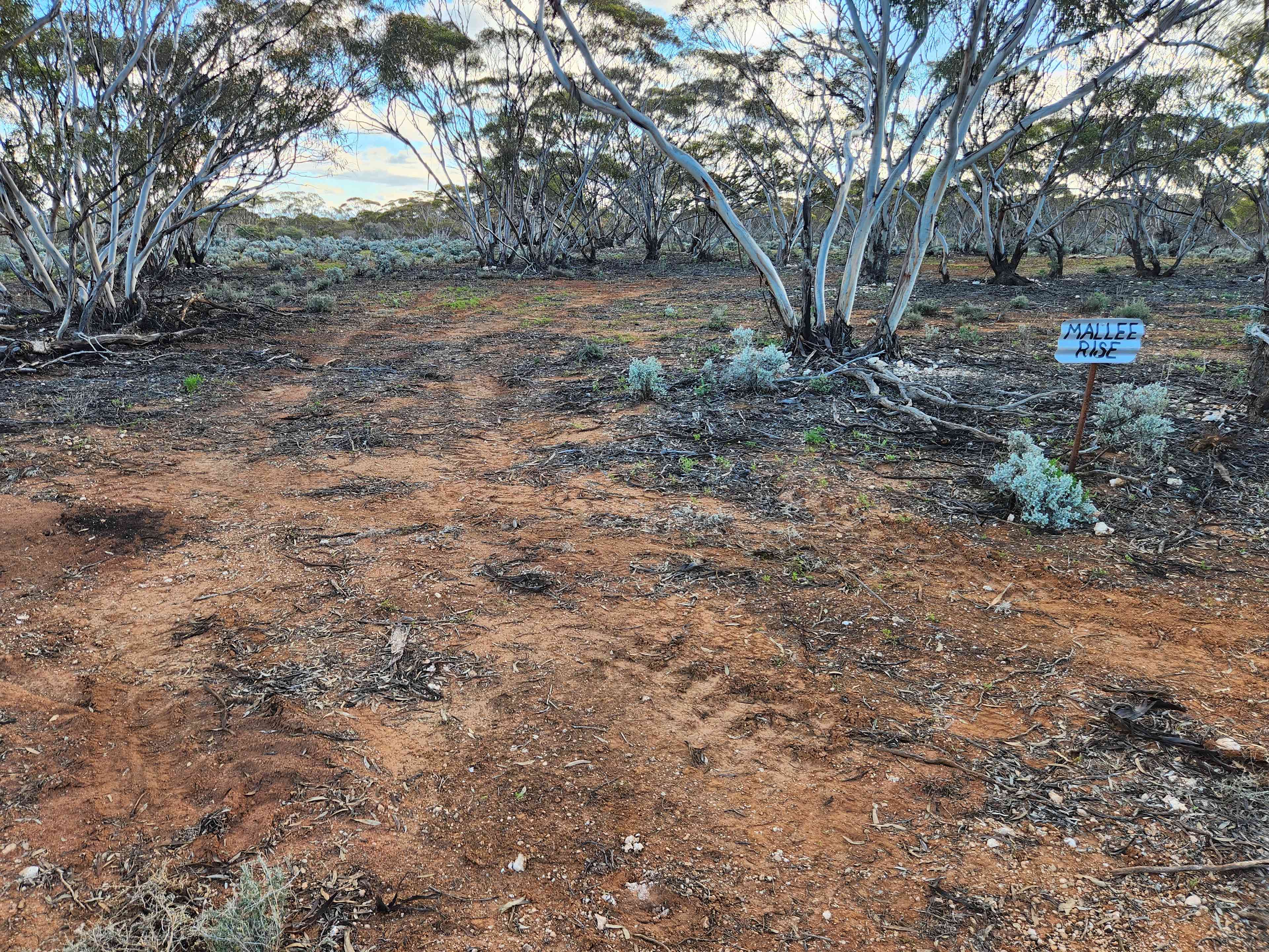 Picture of the site