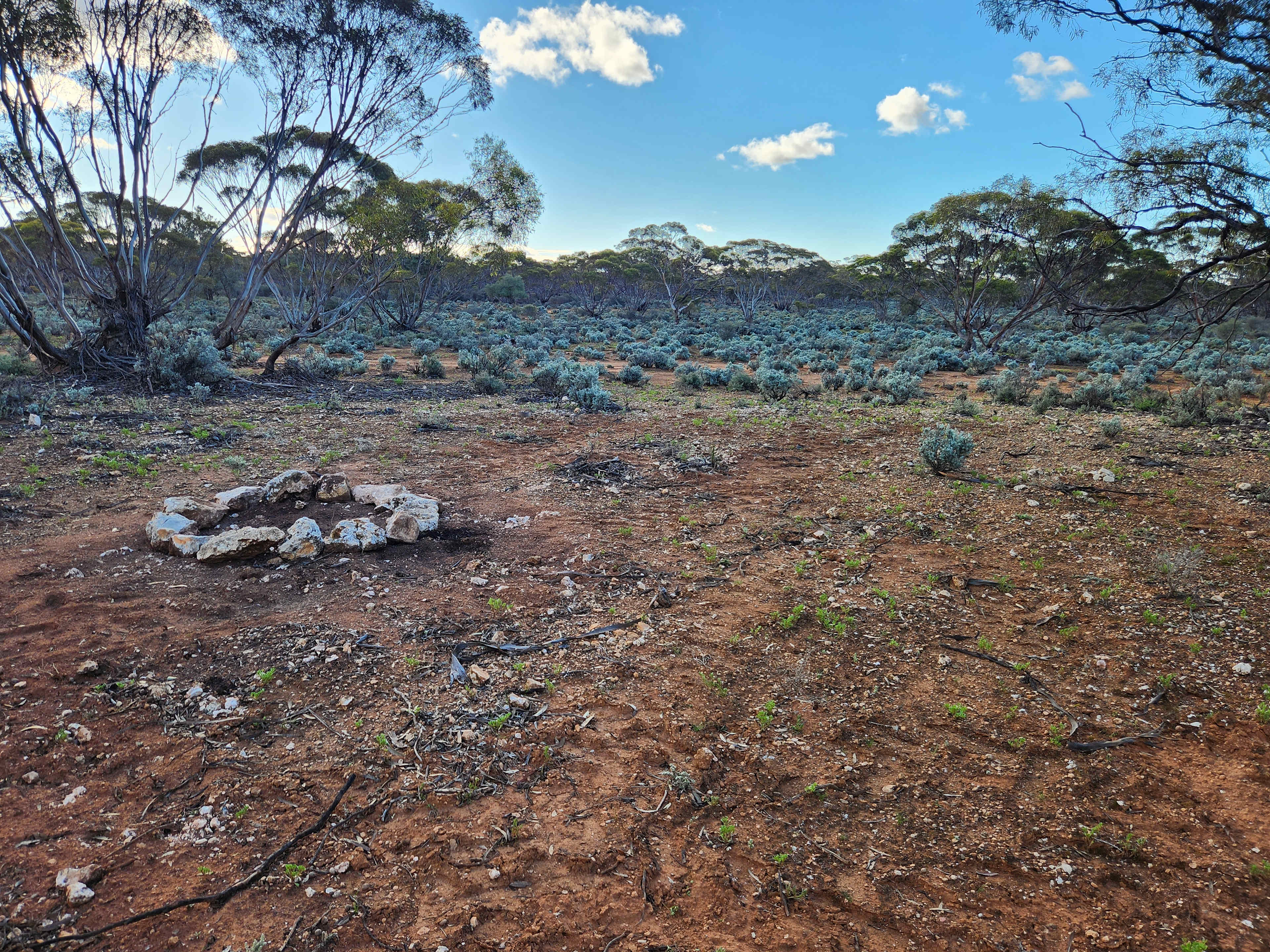 Picture of the site