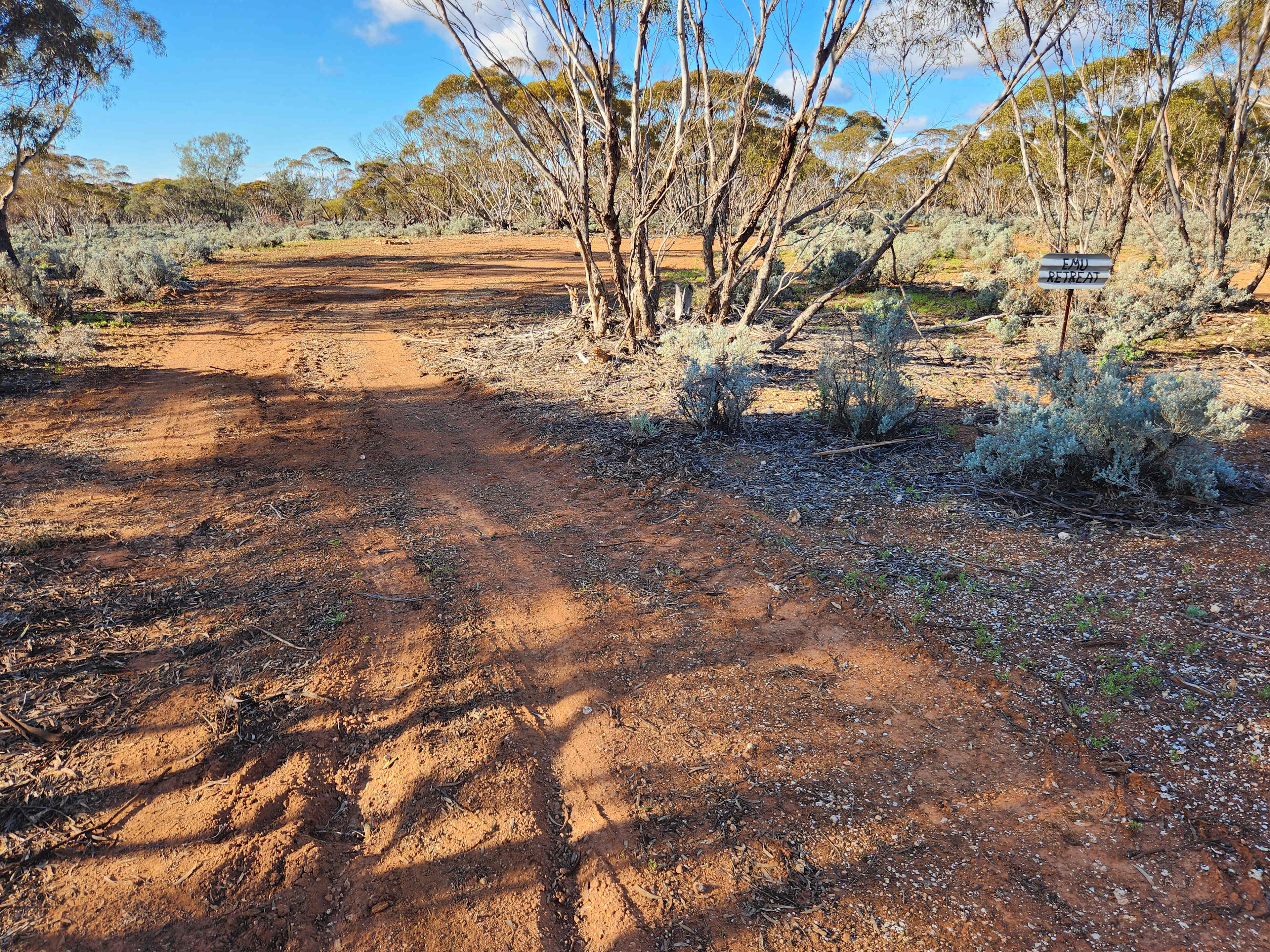 Picture of the site
