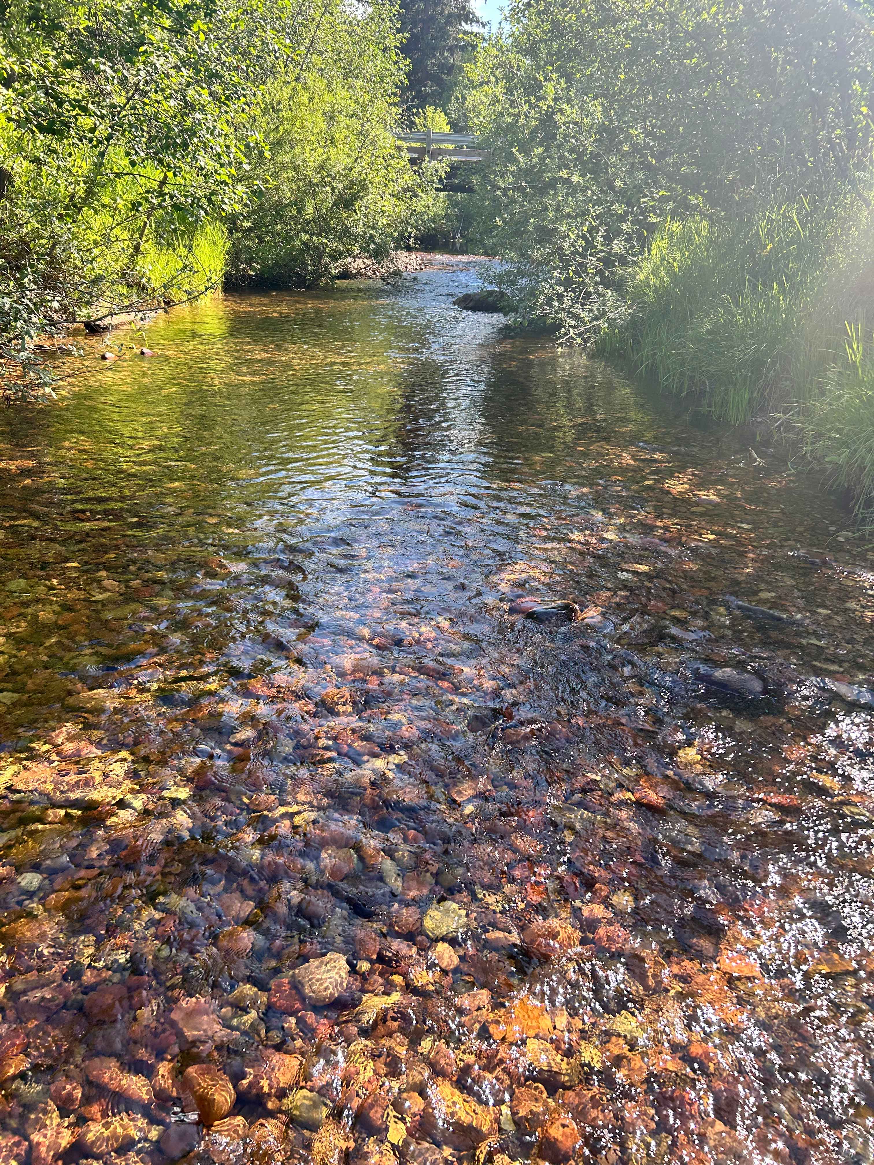 Buck’s Paradise