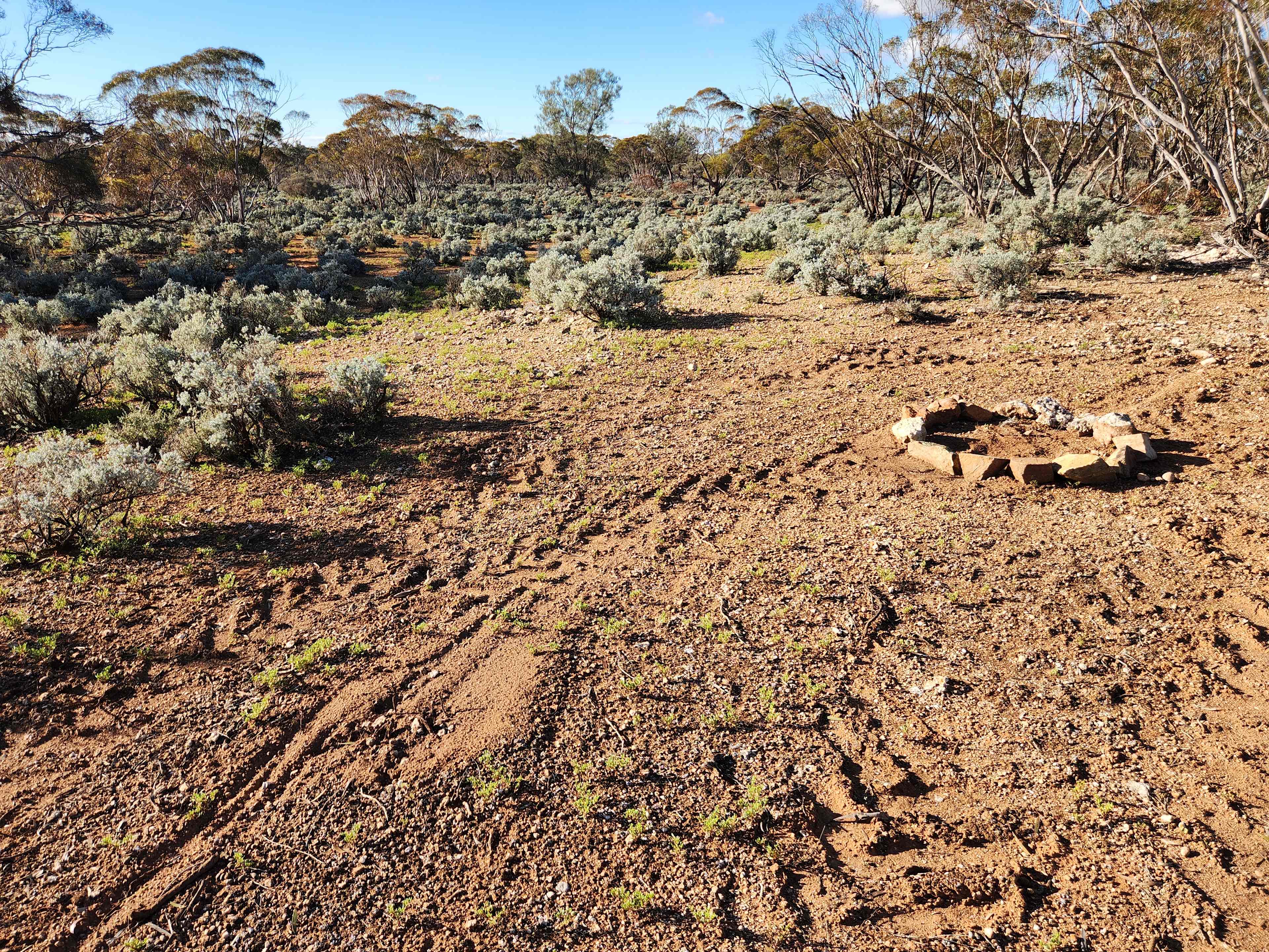 Picture of the site