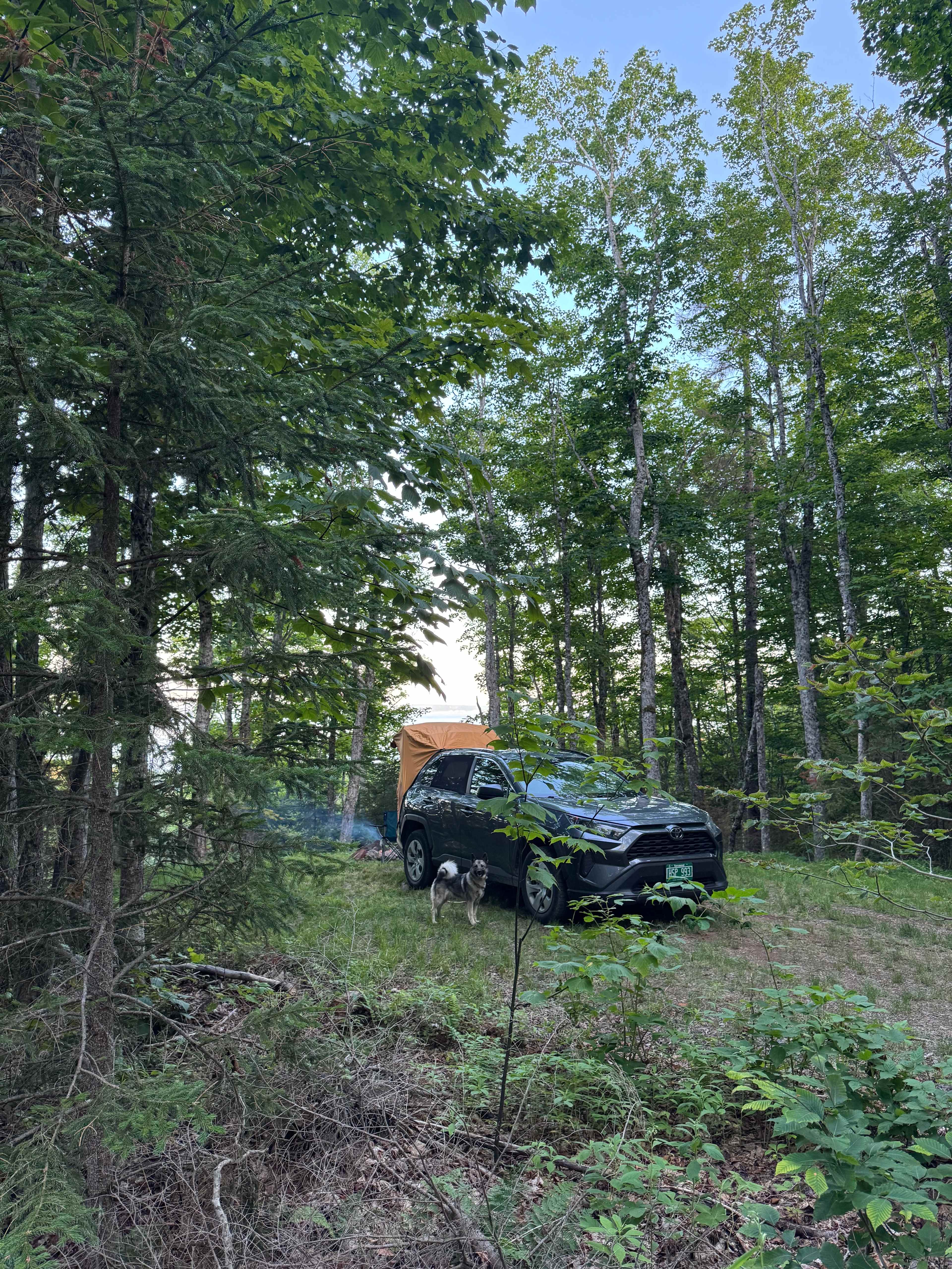Fraserville Off-Grid Camping