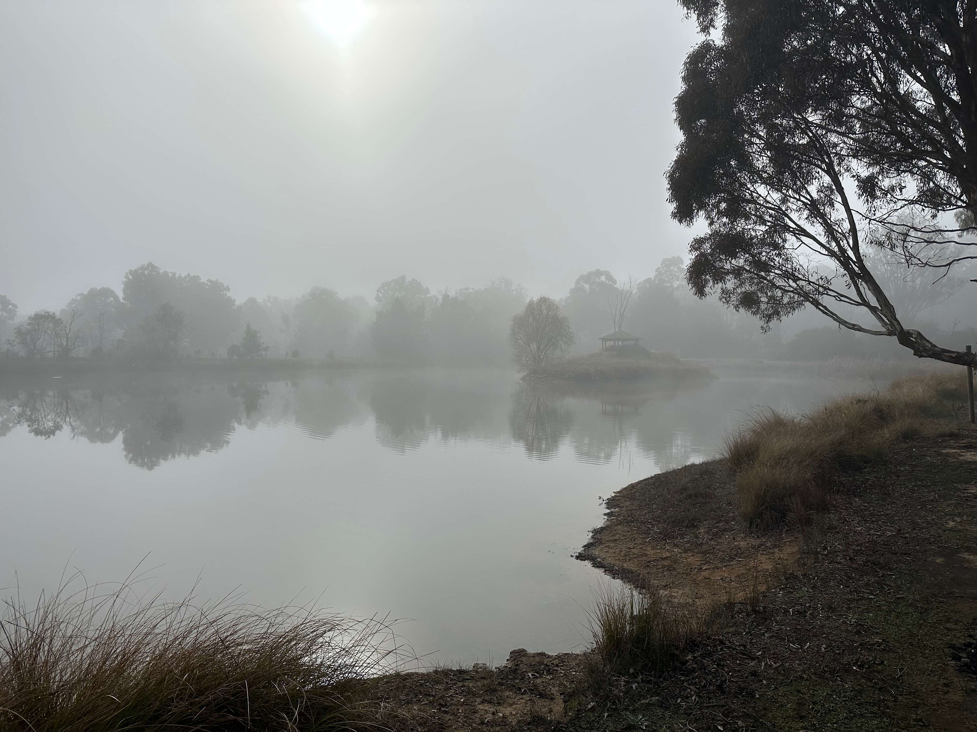 Goolabri Estate
