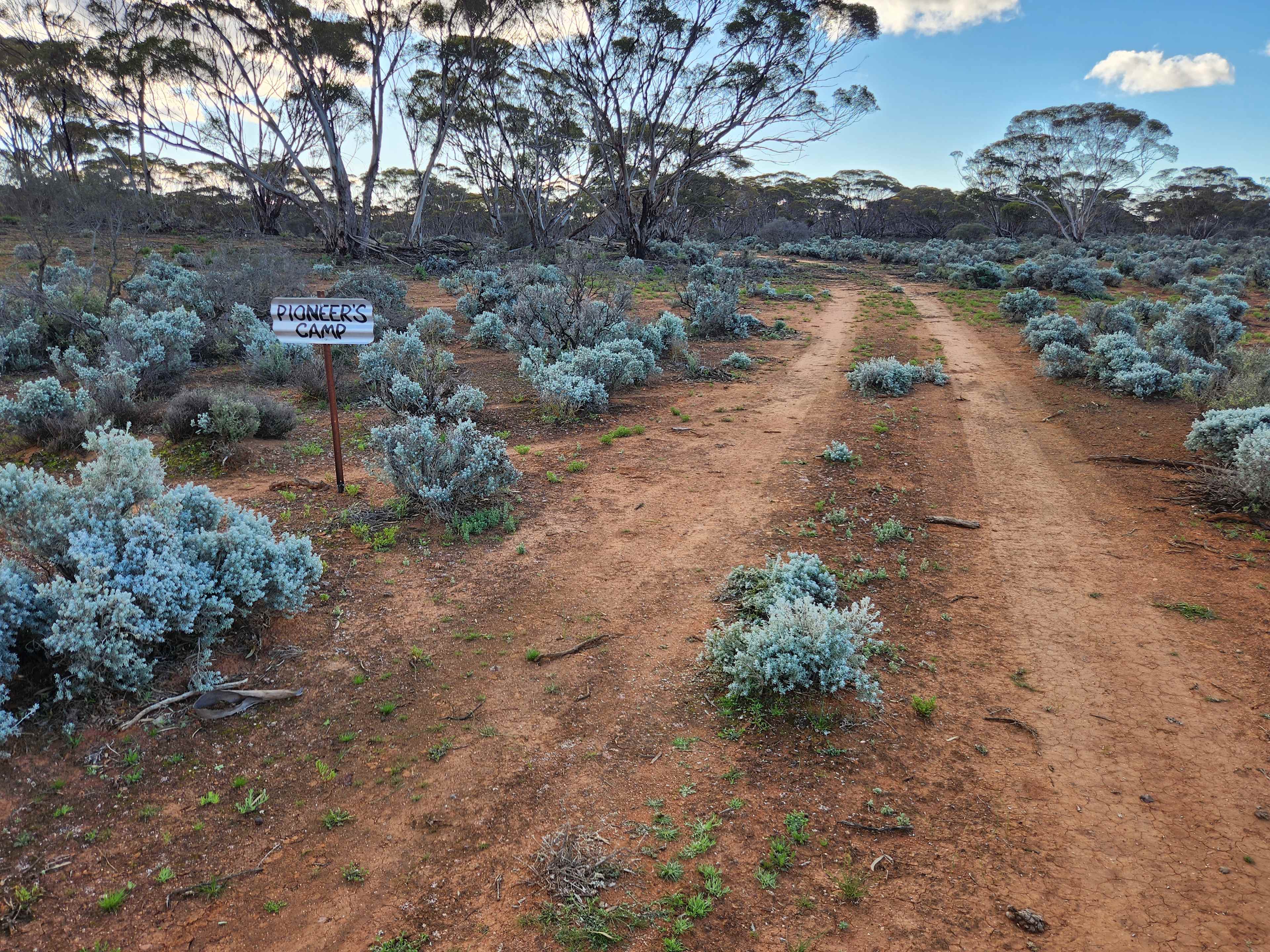 Picture of the site