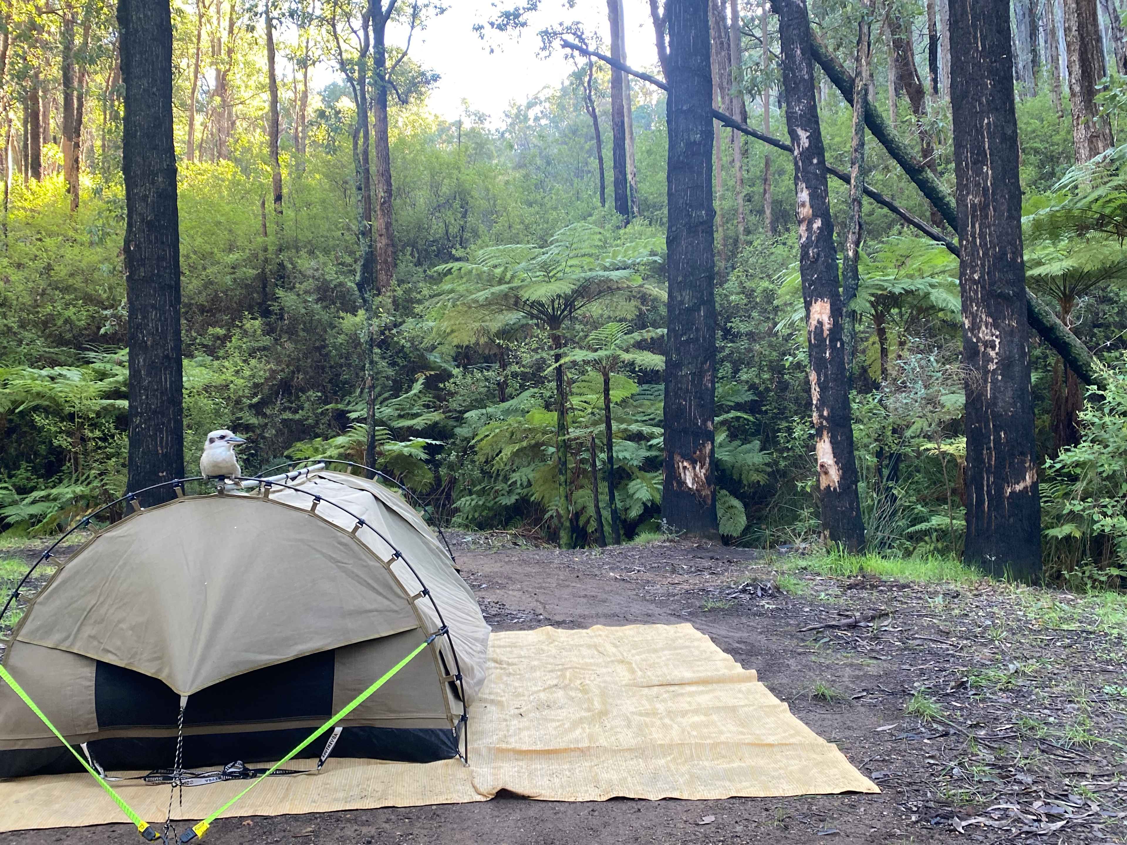 Dougy's Den