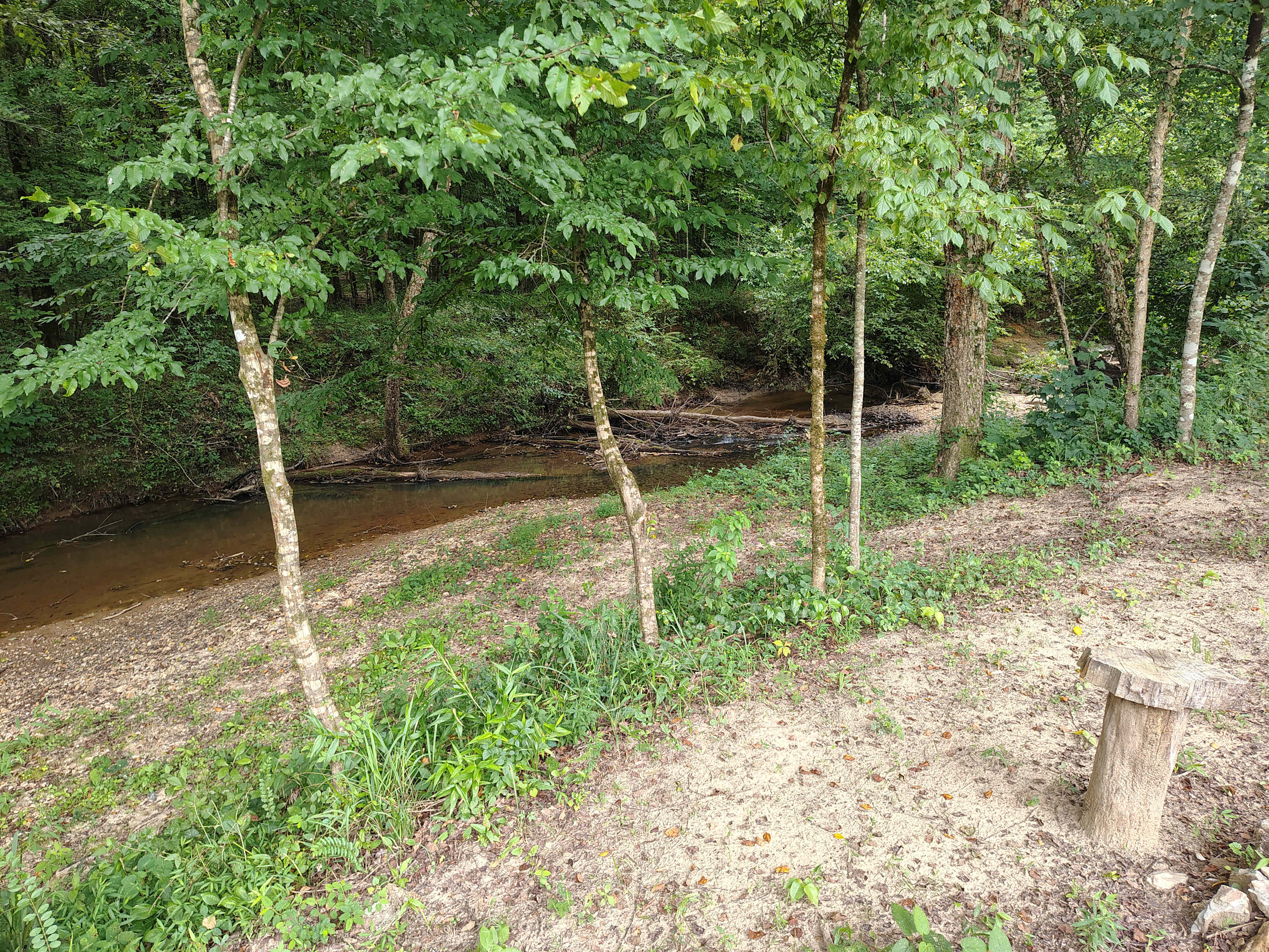 Willow Creek Camping