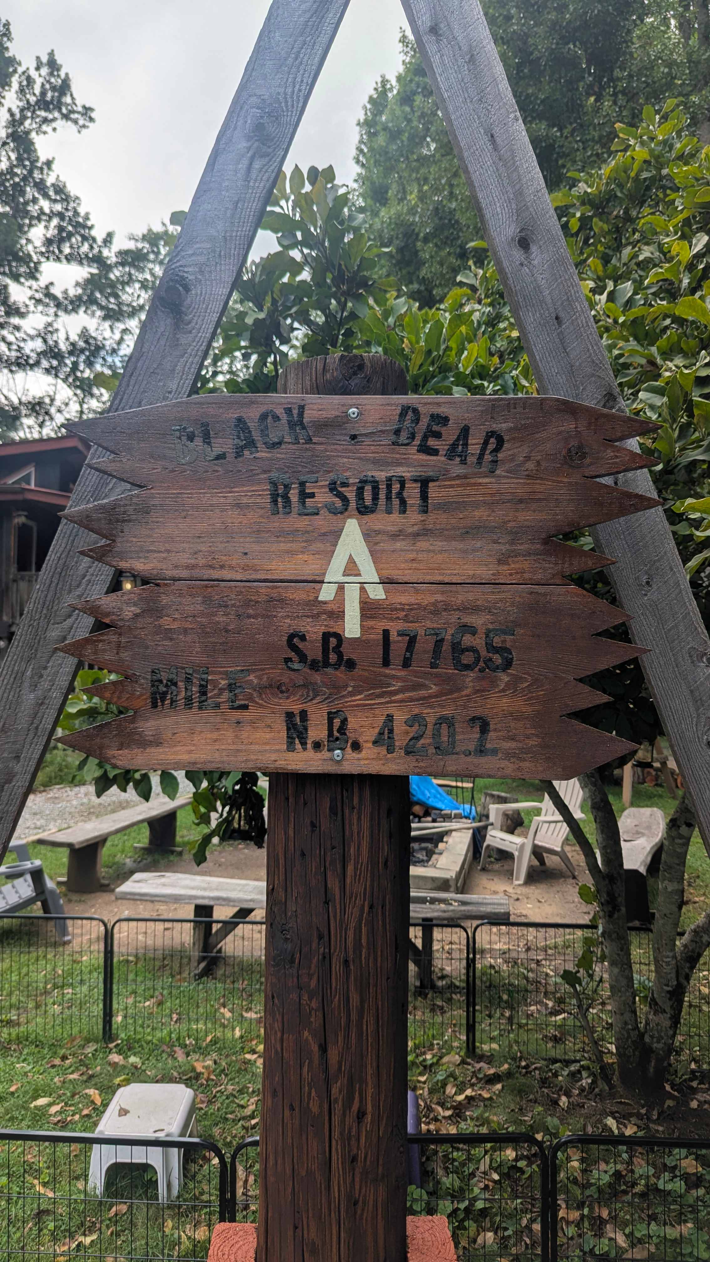Black Bear Resort