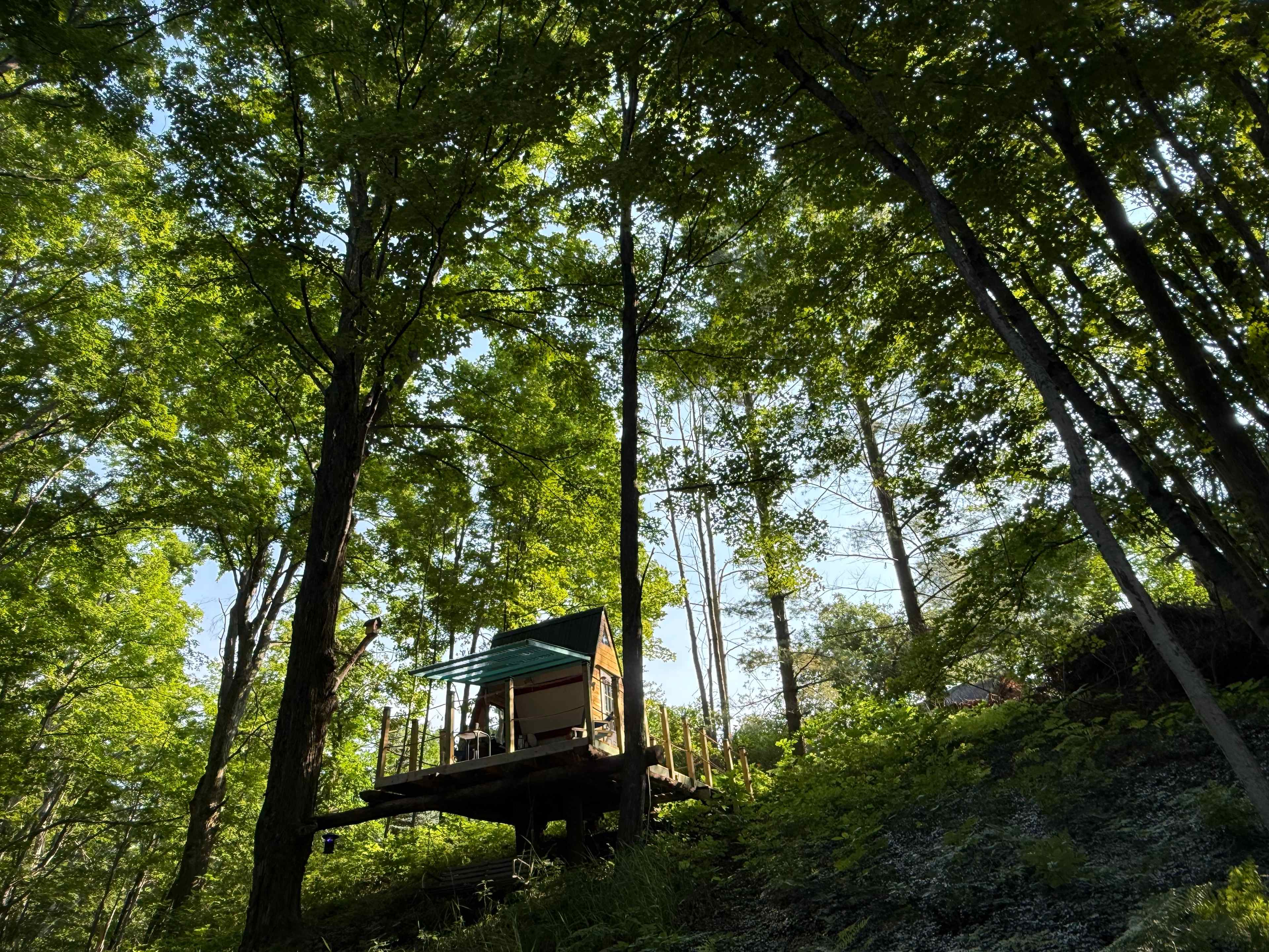 Treehouse Convertible A-Frame Cabin