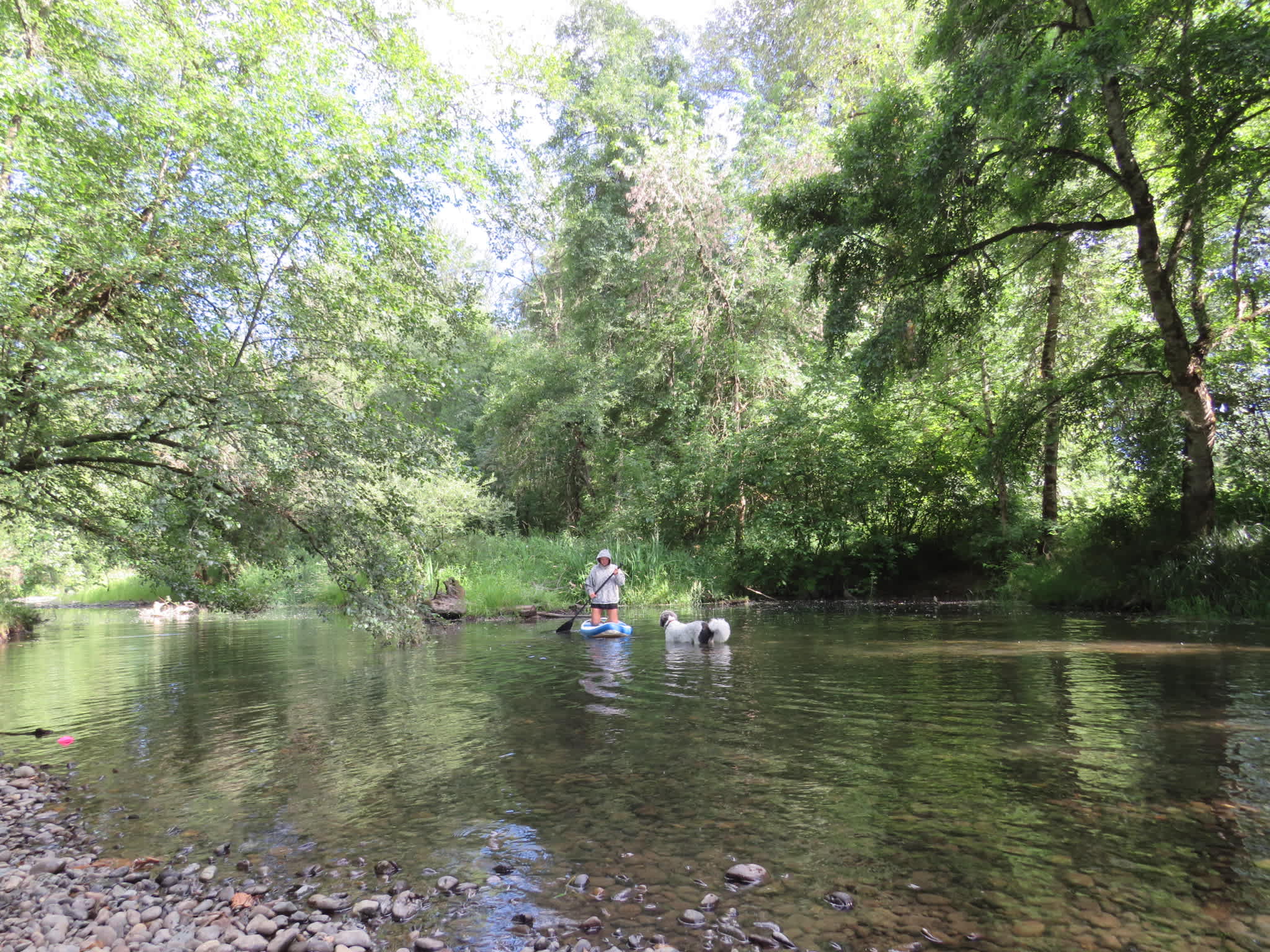 Santiam Serenity