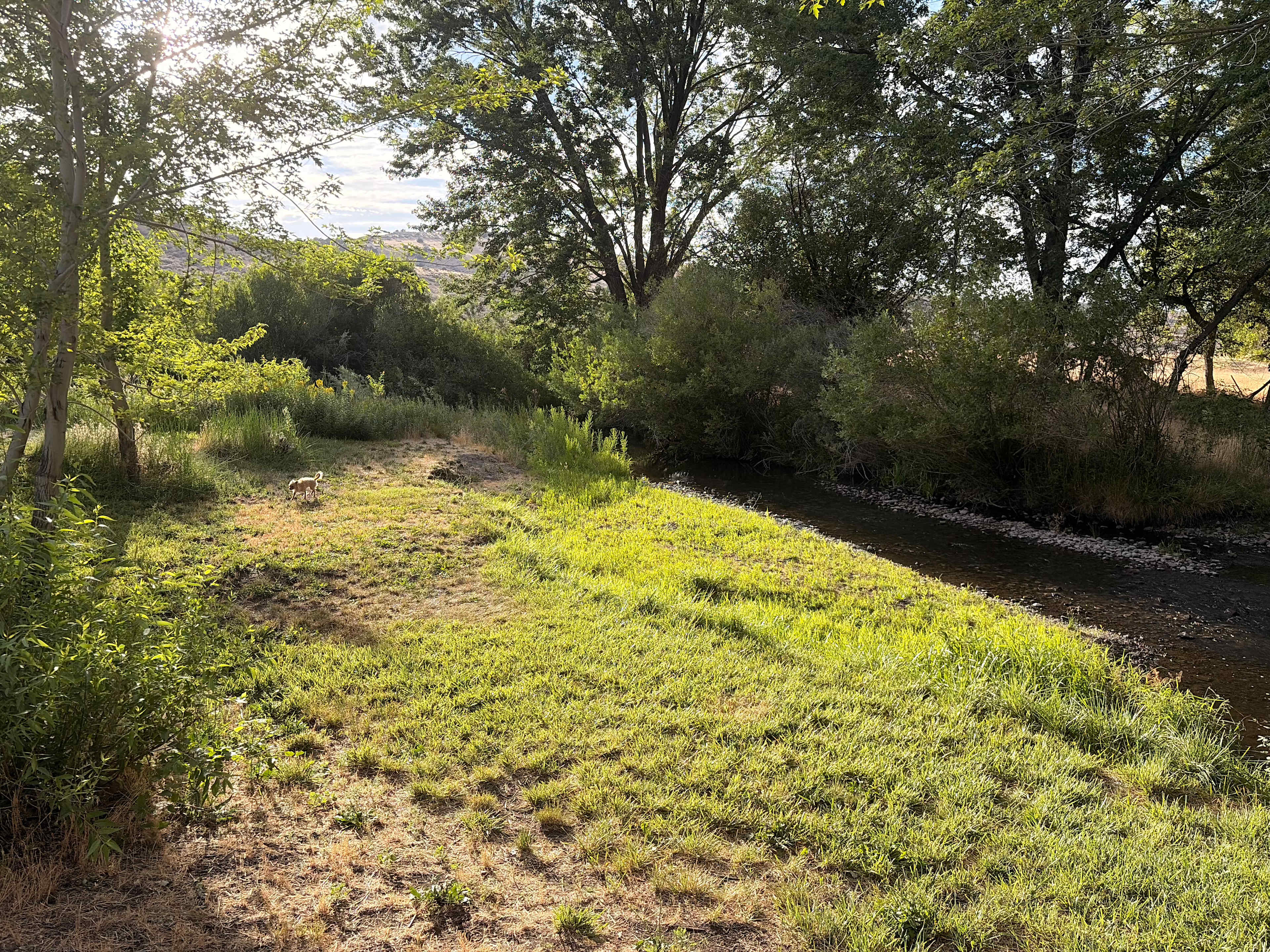 Private Creekside