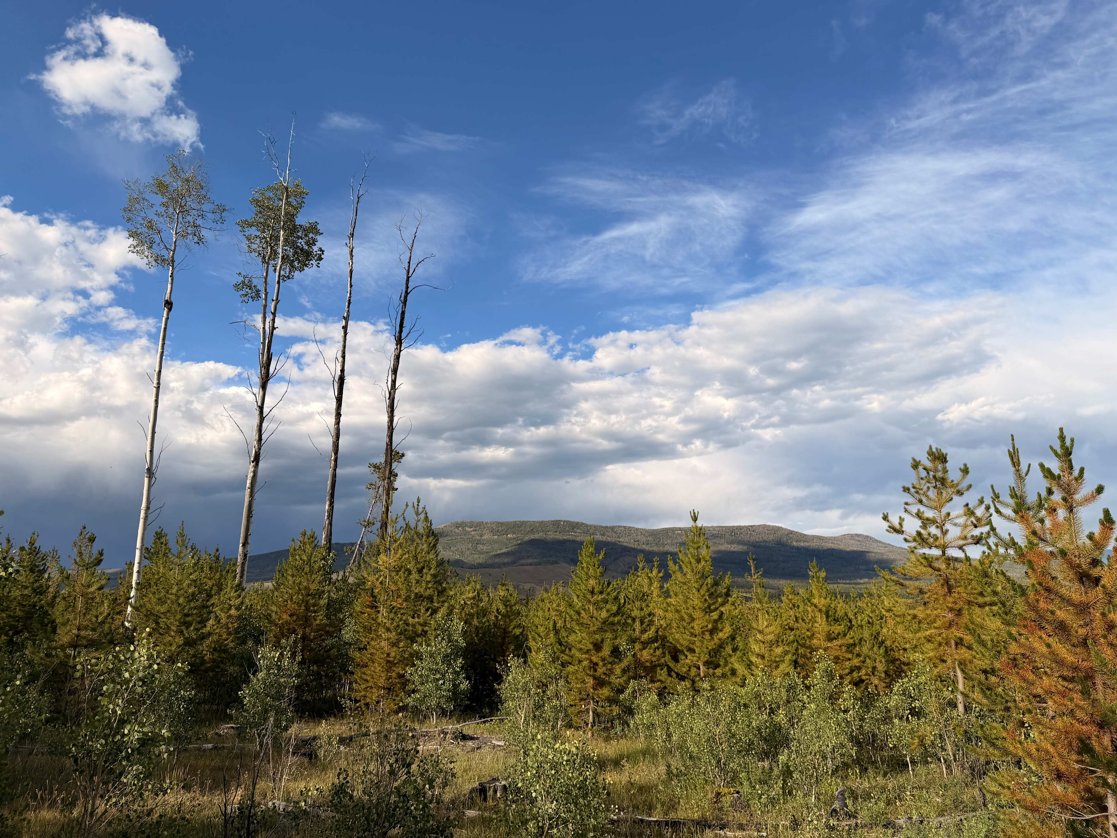 Old Homestead Campground