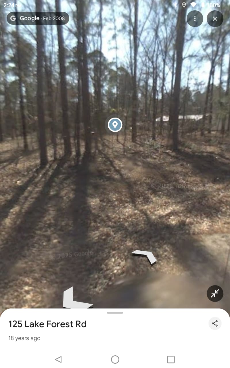 Picture of the site