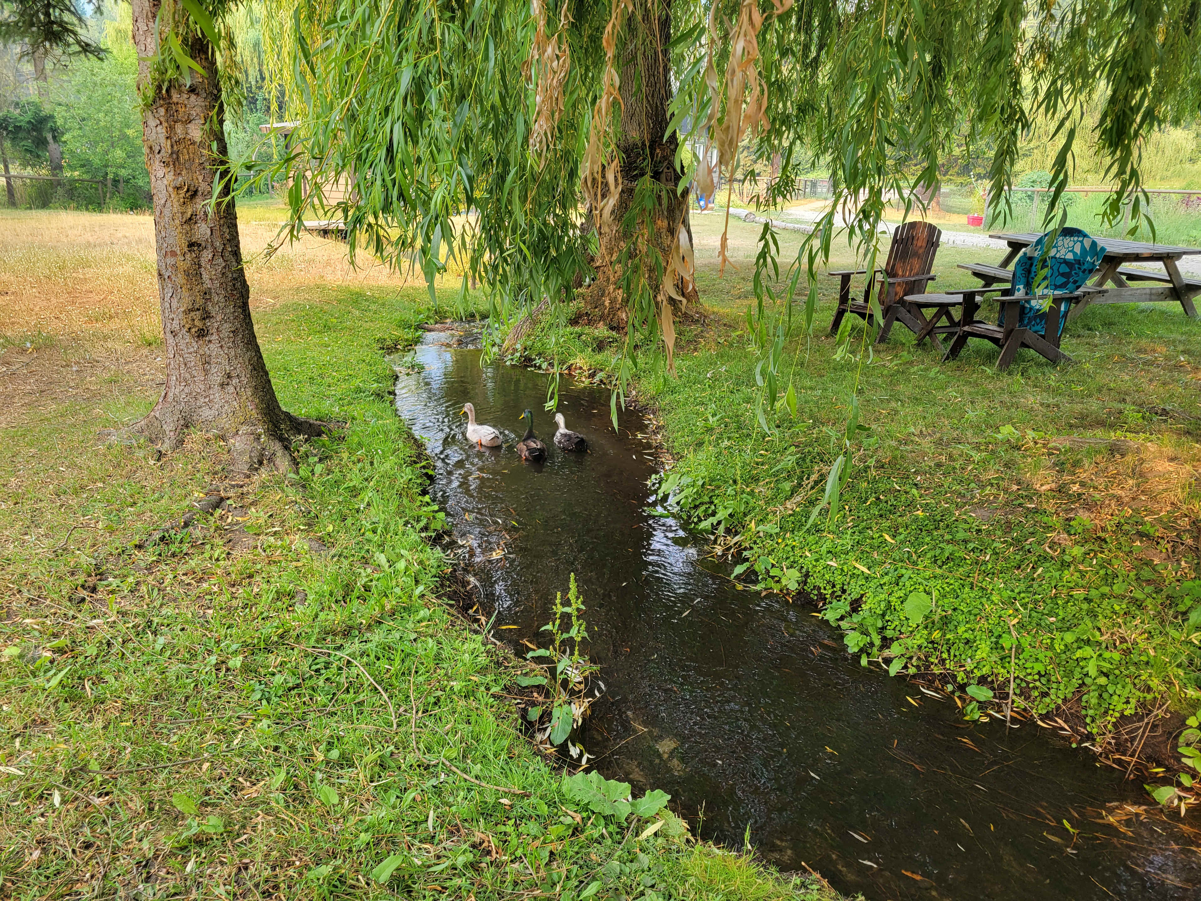 Olich Creek Farm
