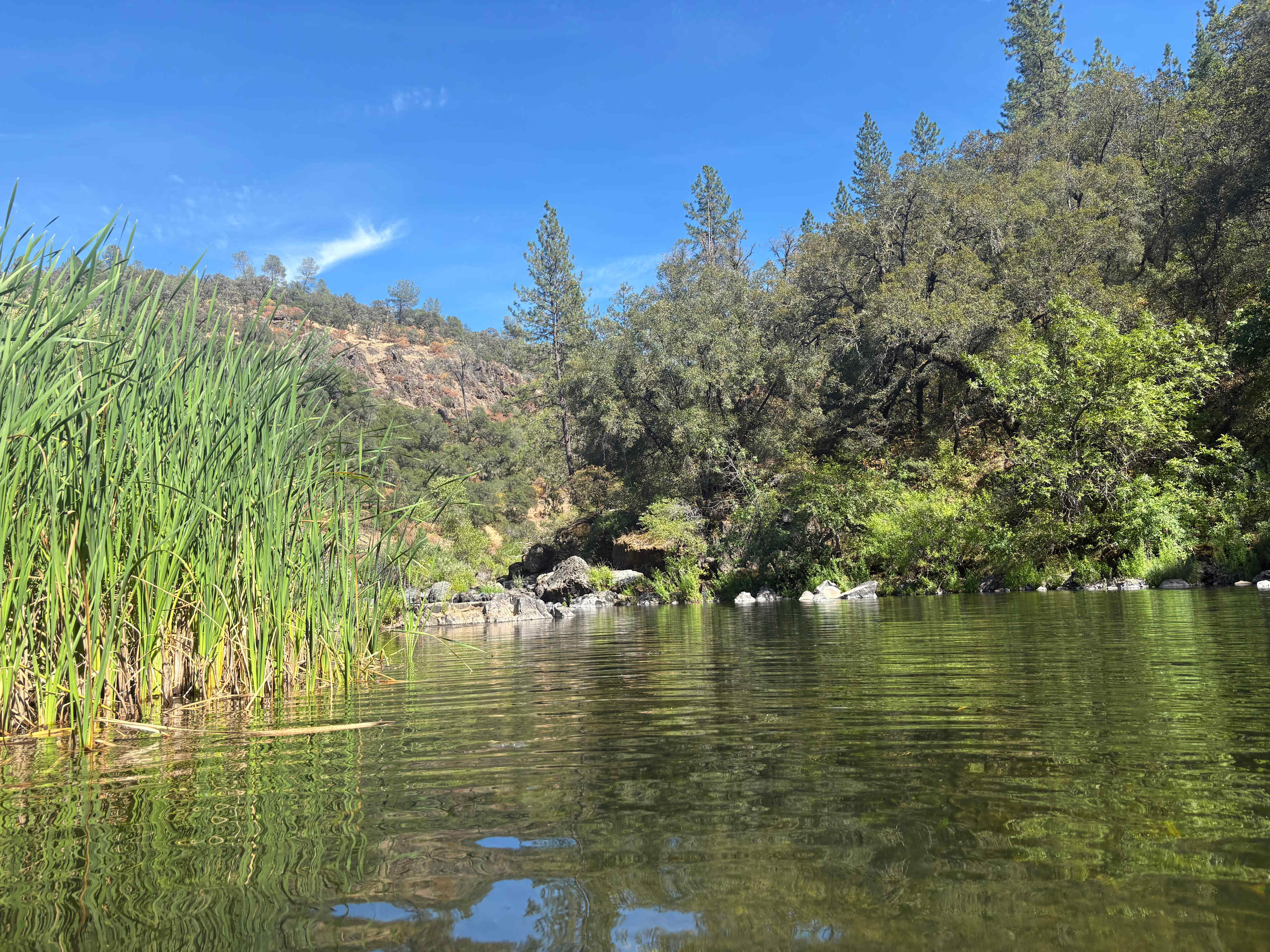 Private River Oasis