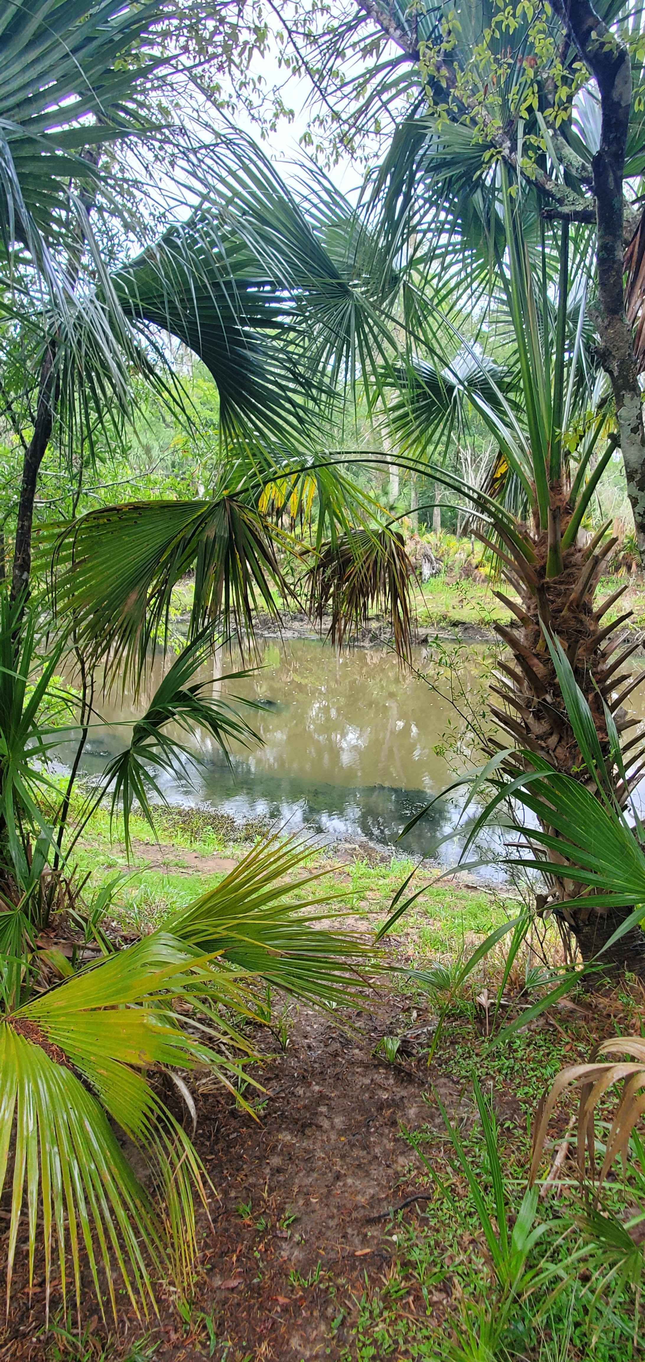 Mingo Acres on the River
