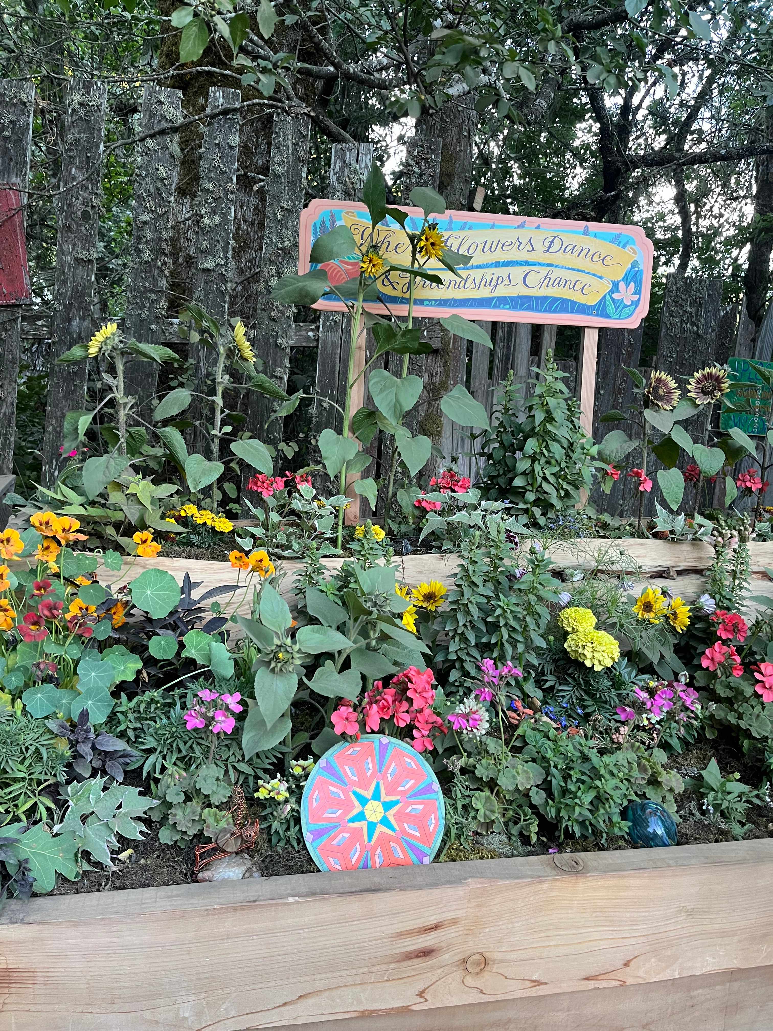 Mosswood Forest