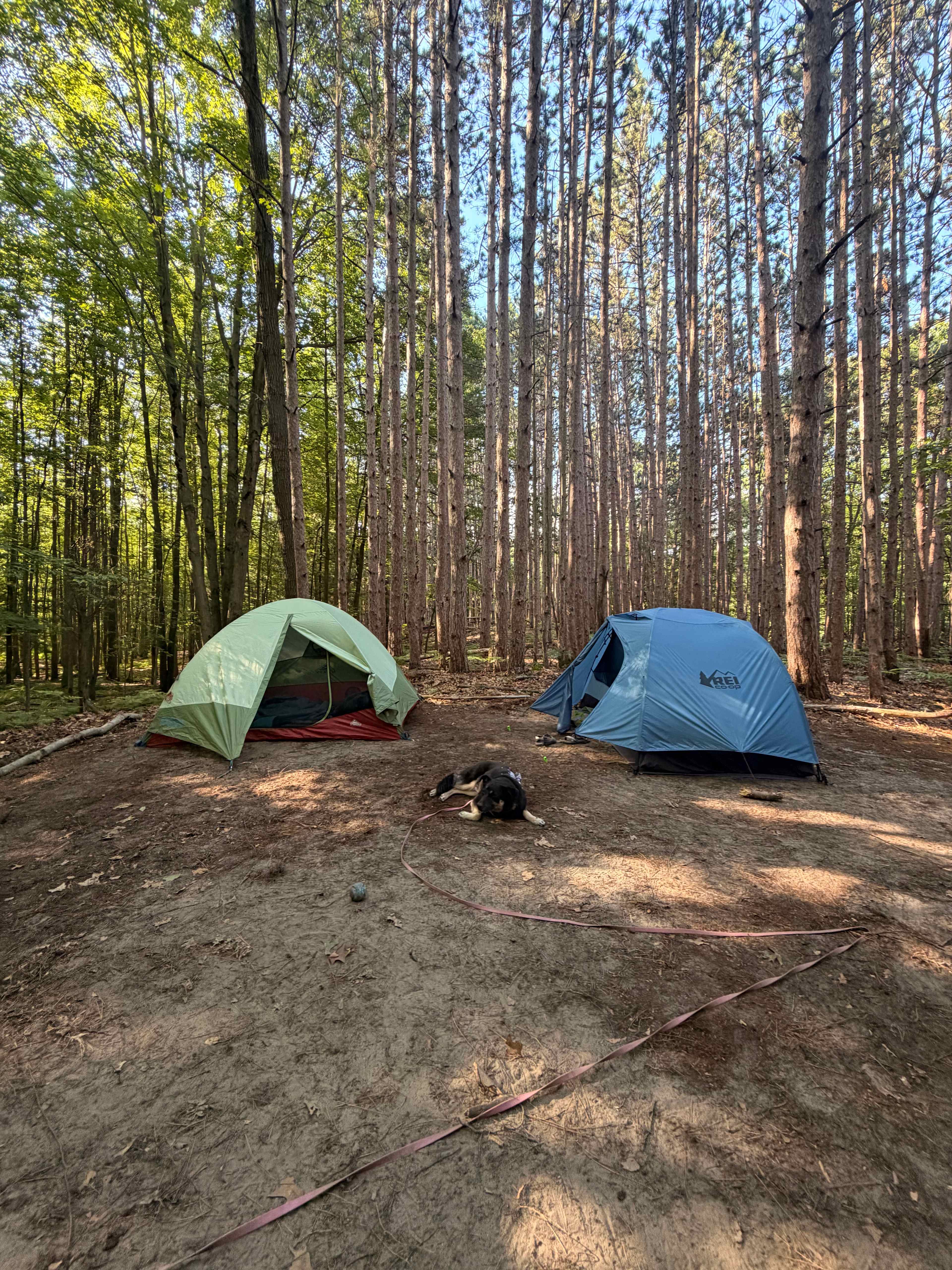 Flipside Acres