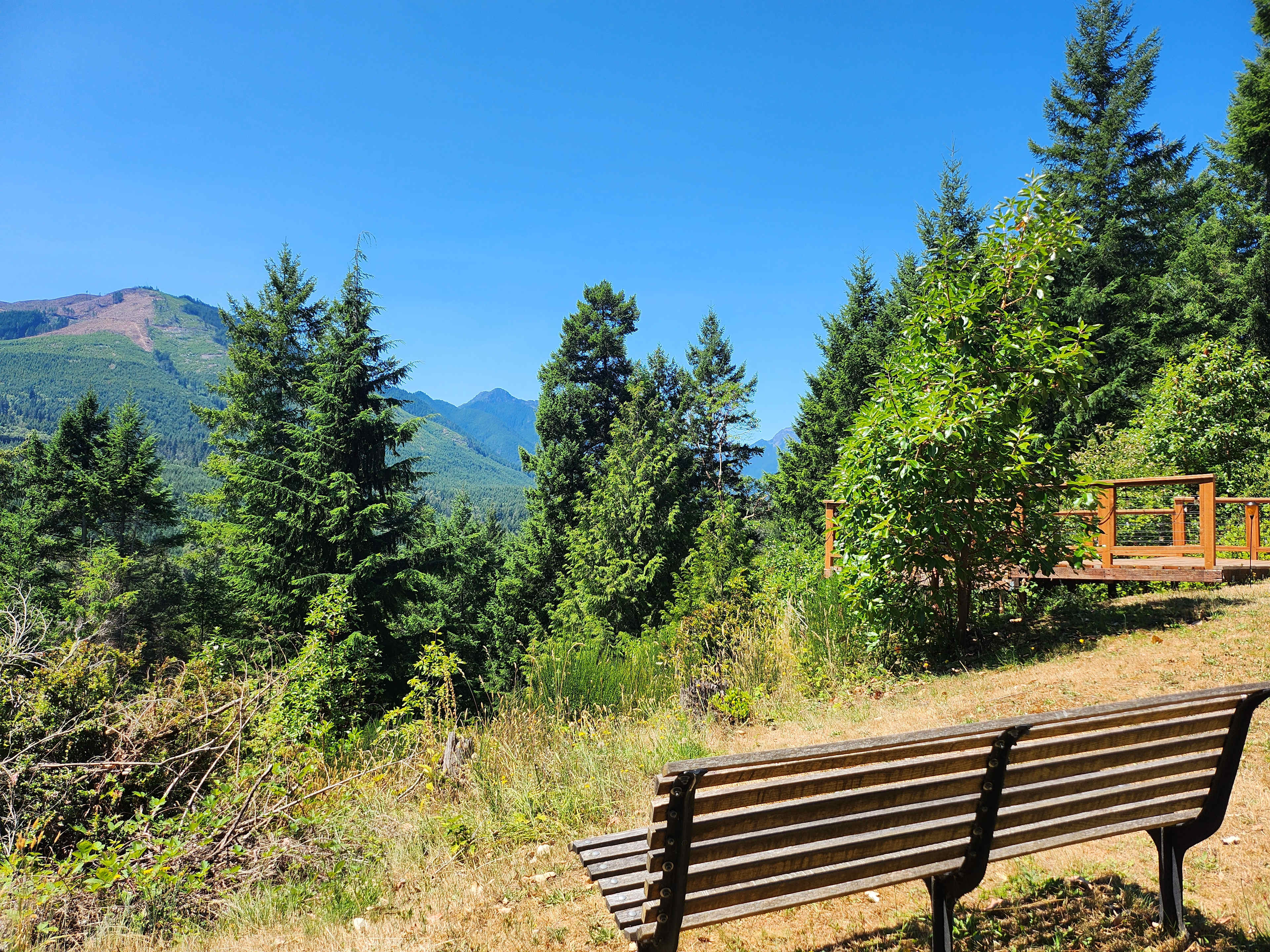 Good 'Dose' of Relaxation