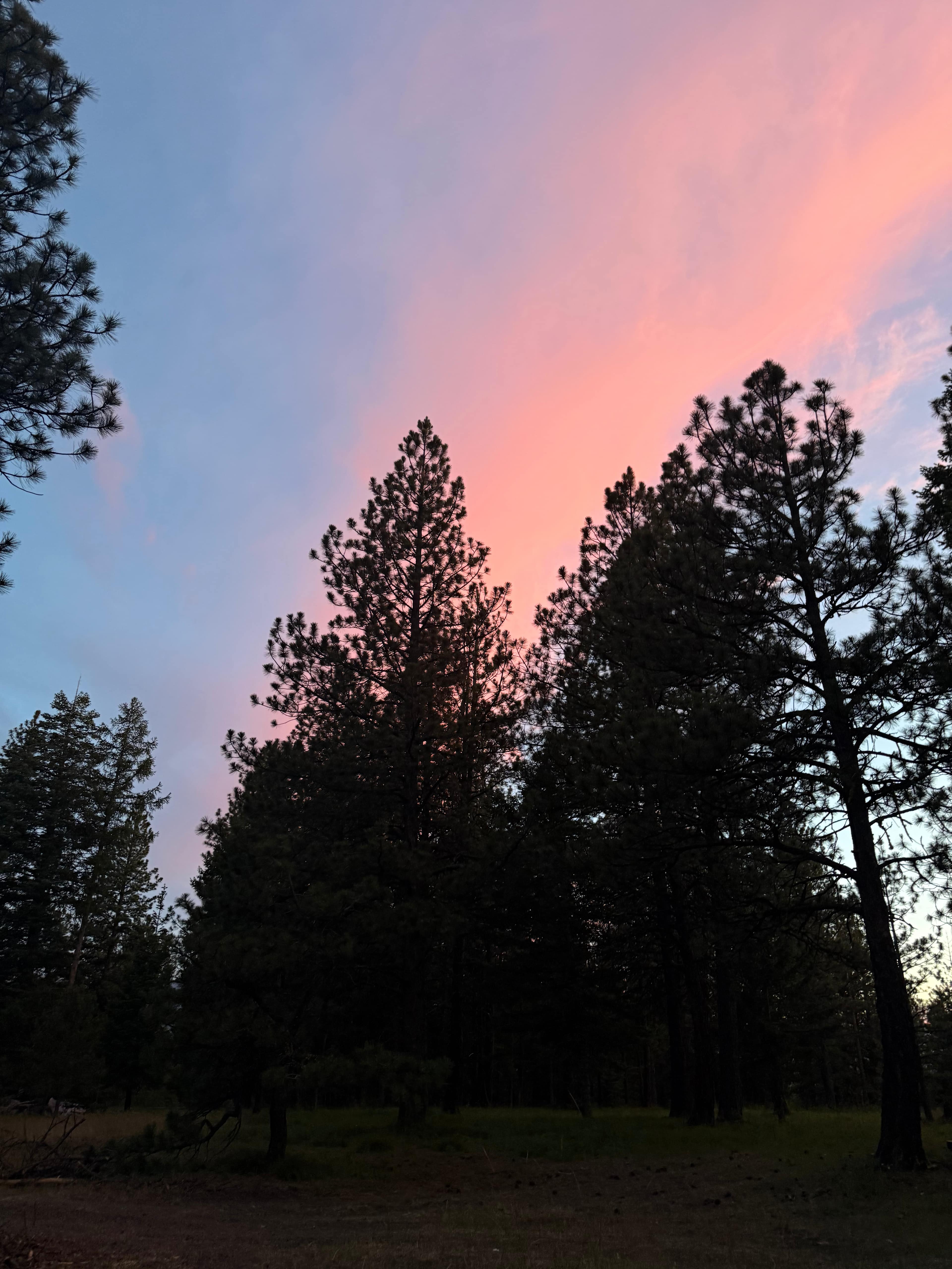 Divide Nature Camp