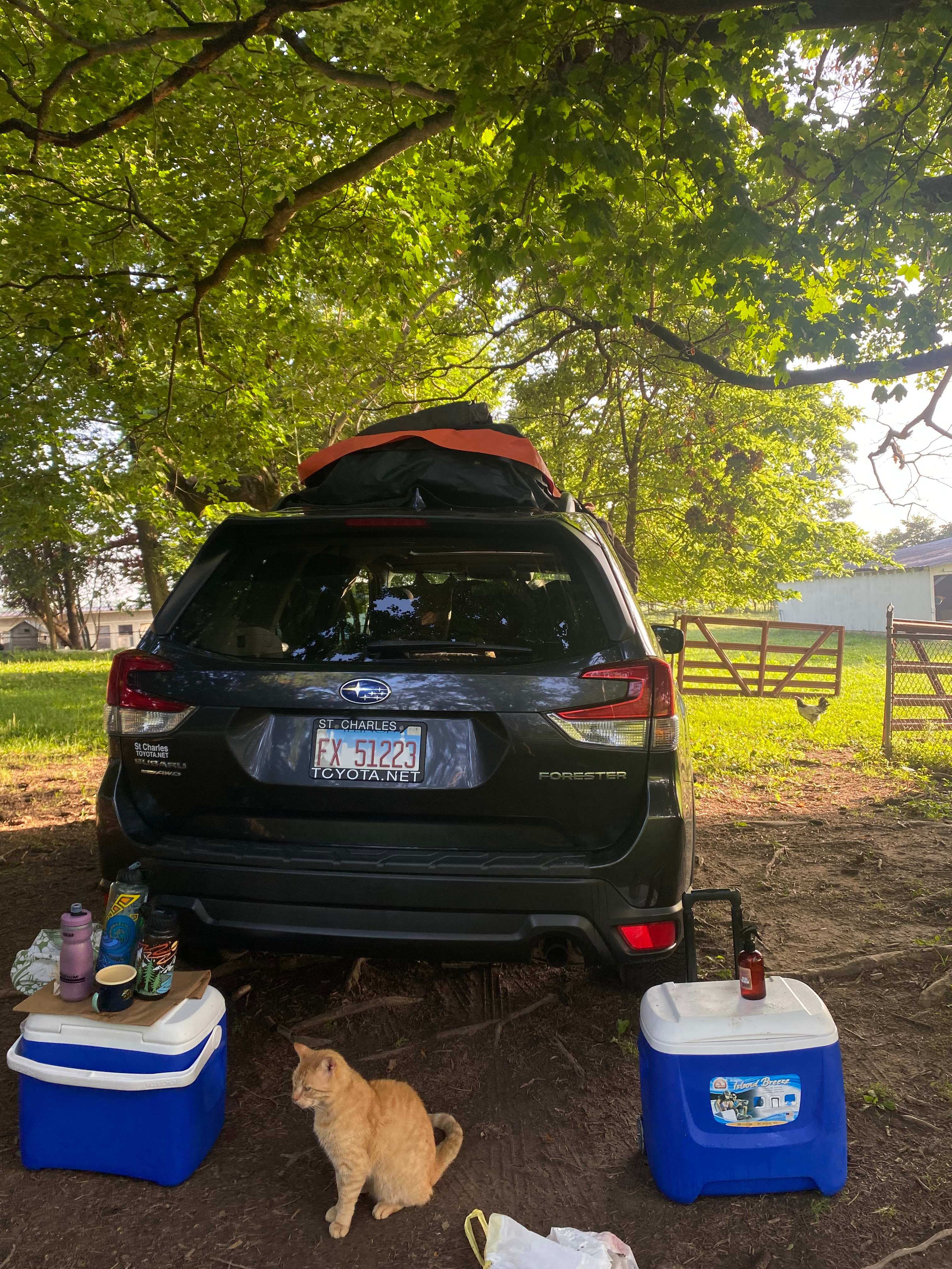 Option to tent camp but we car camped 