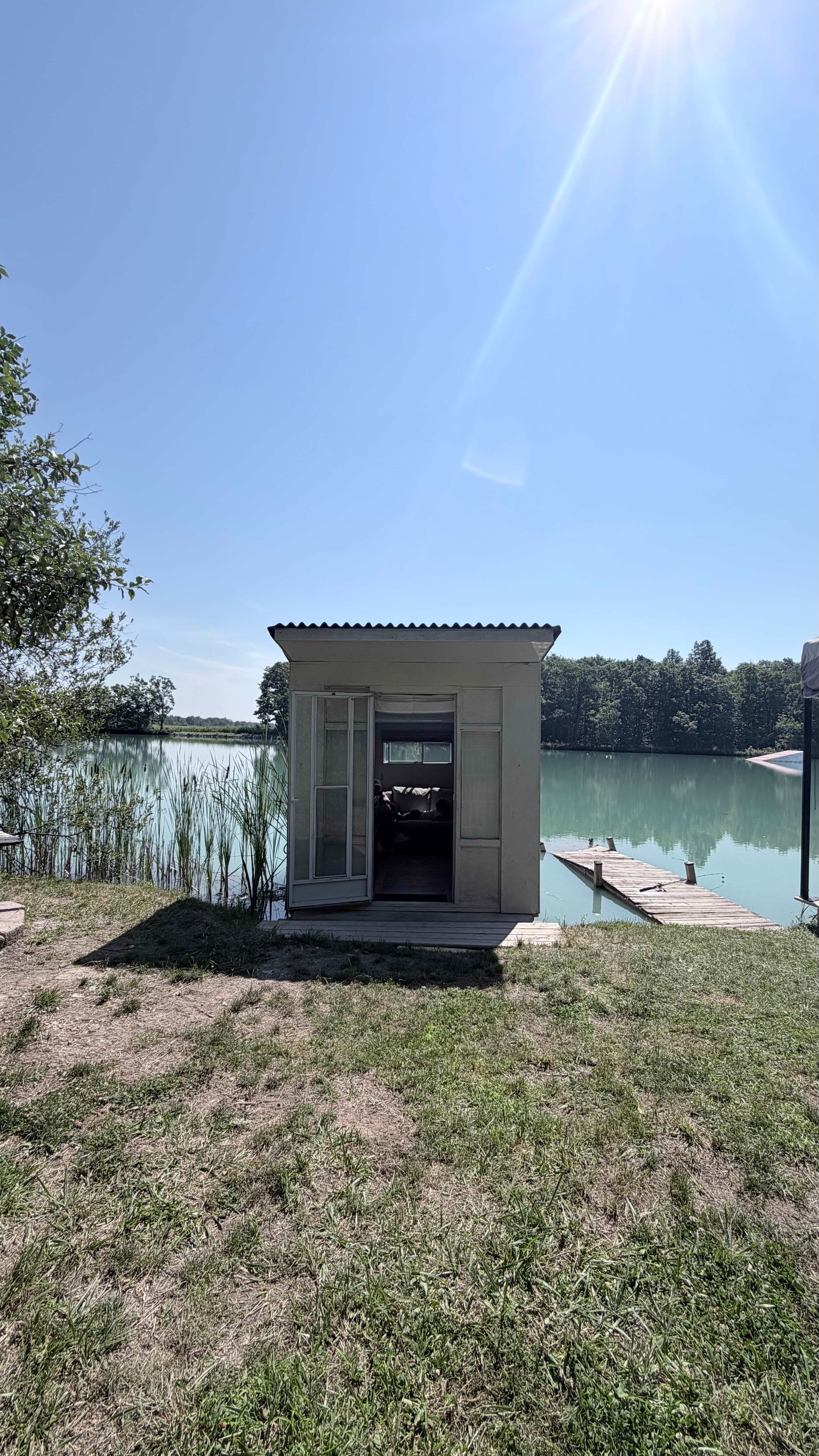 T's Pond