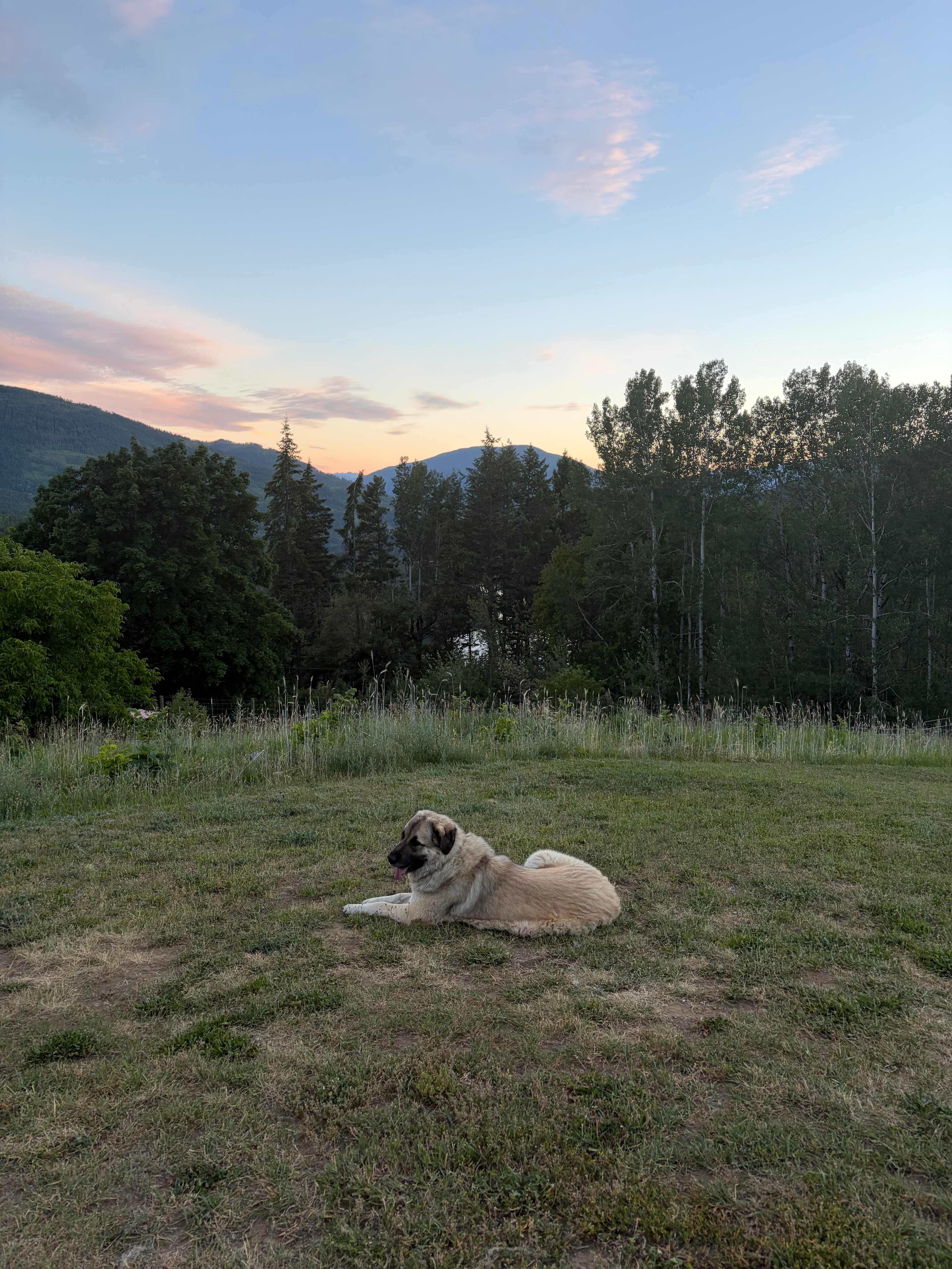Bear Spring Glamping