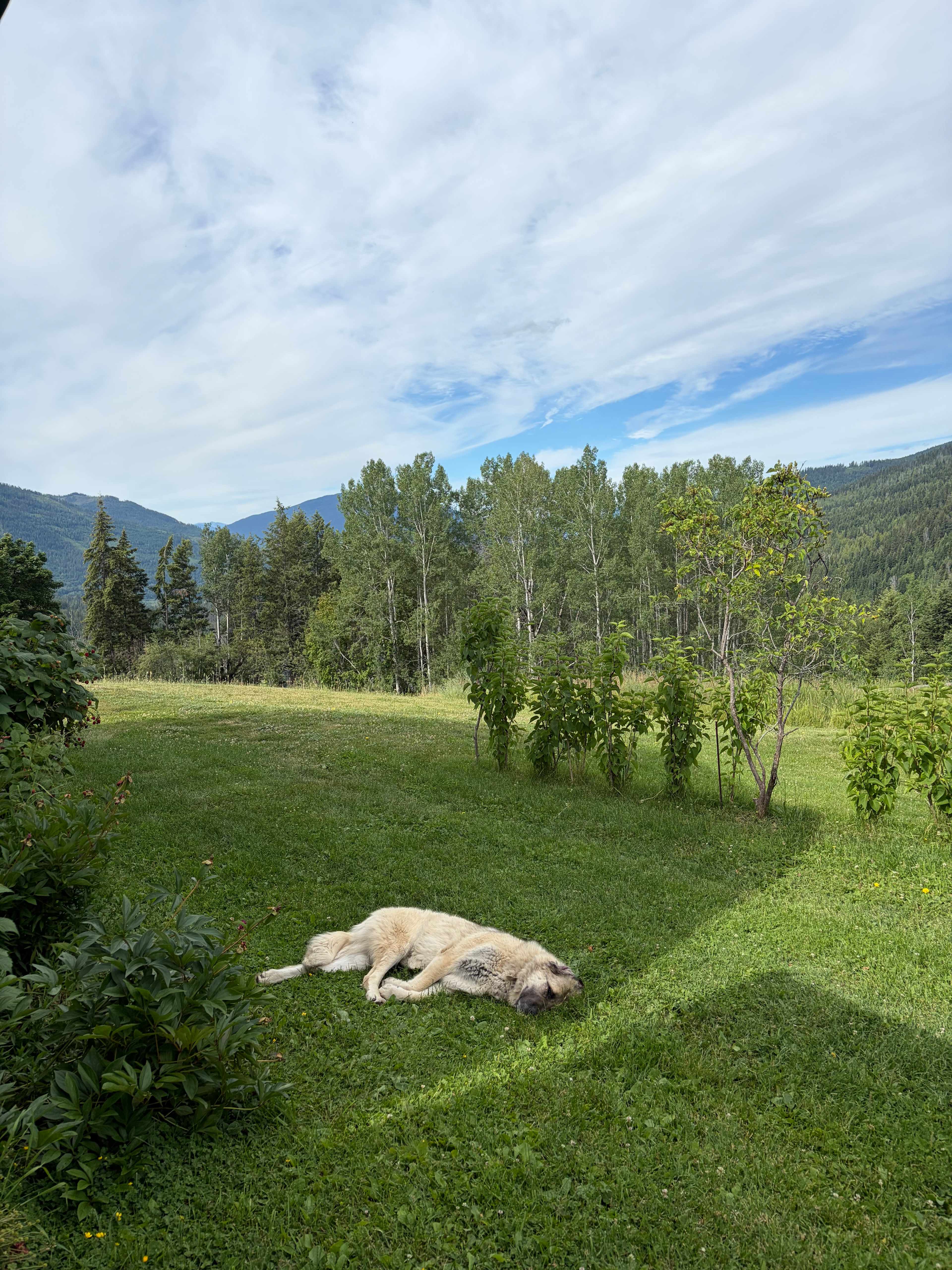 Picture of the site