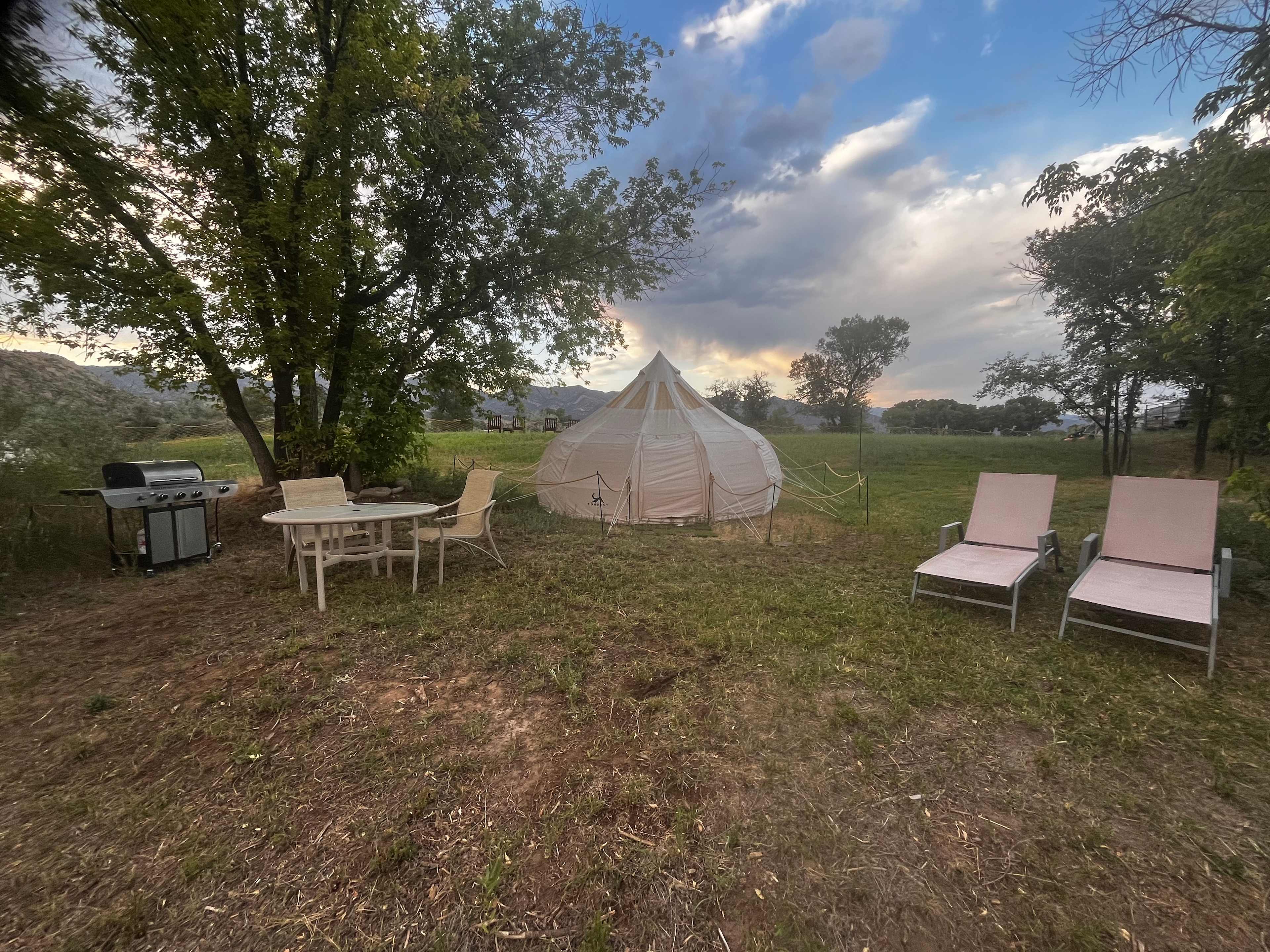 Picture of the site