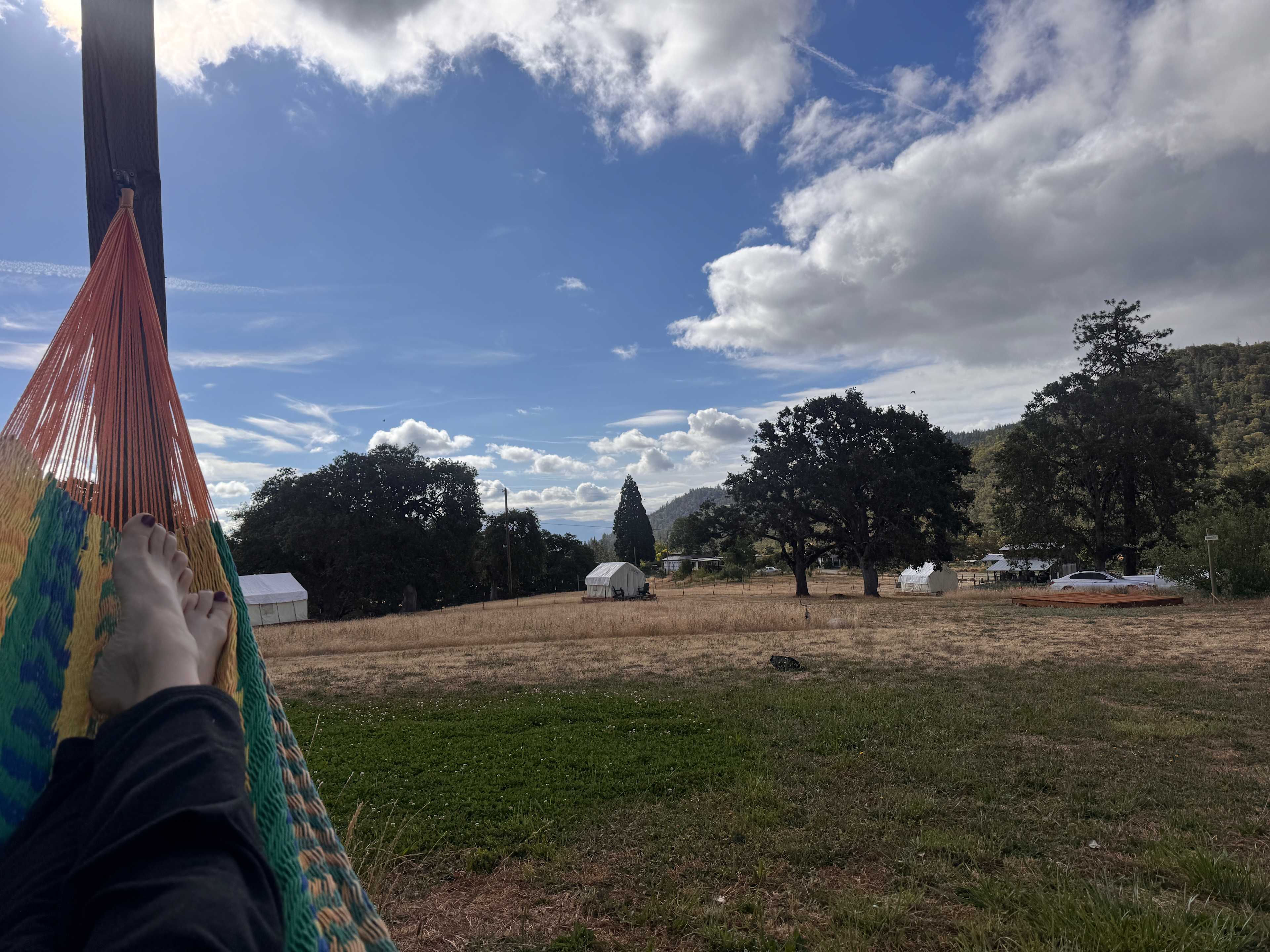 Lane Creek Reserve
