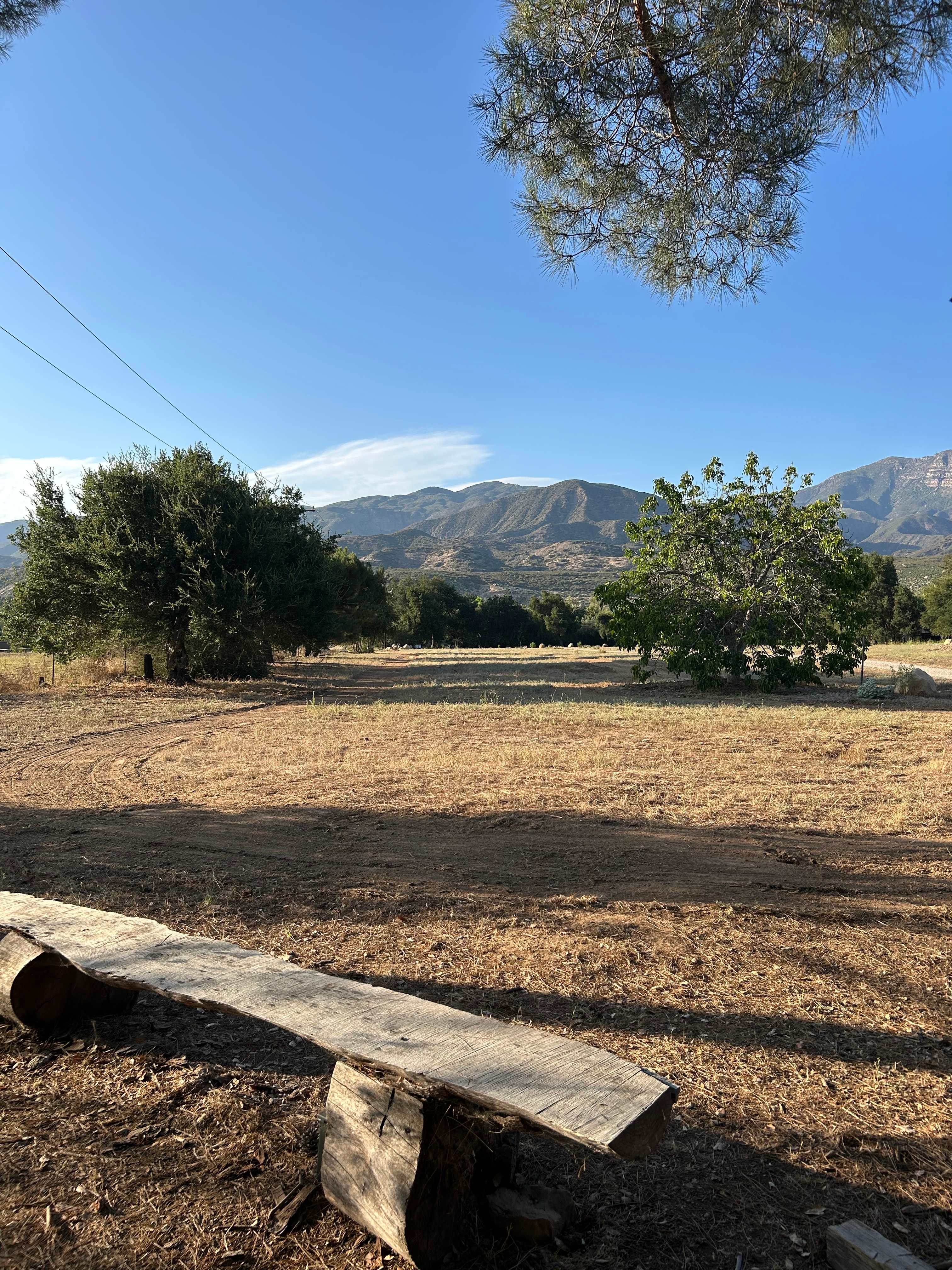 Campsite