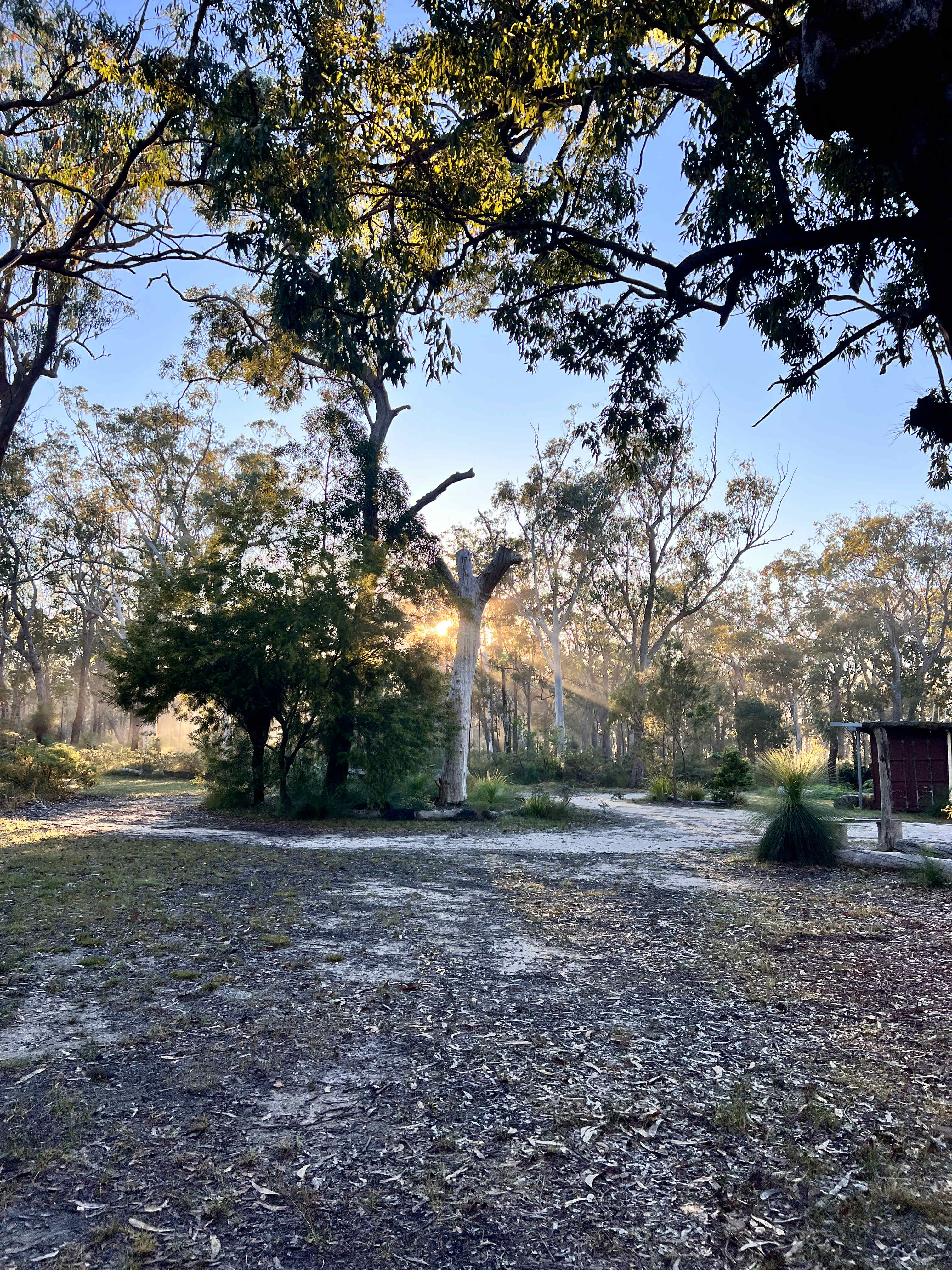 Groundswell Guest Camp