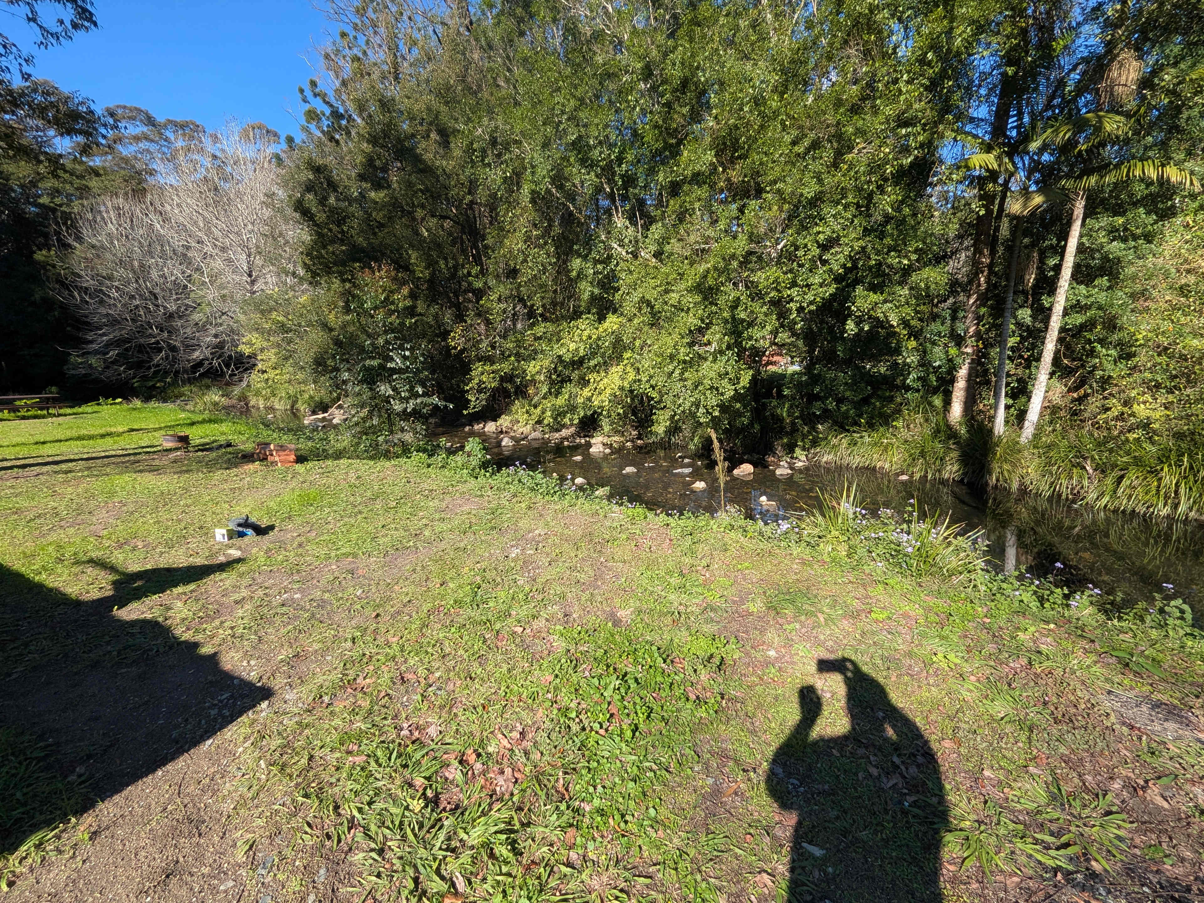 Creekside campsite