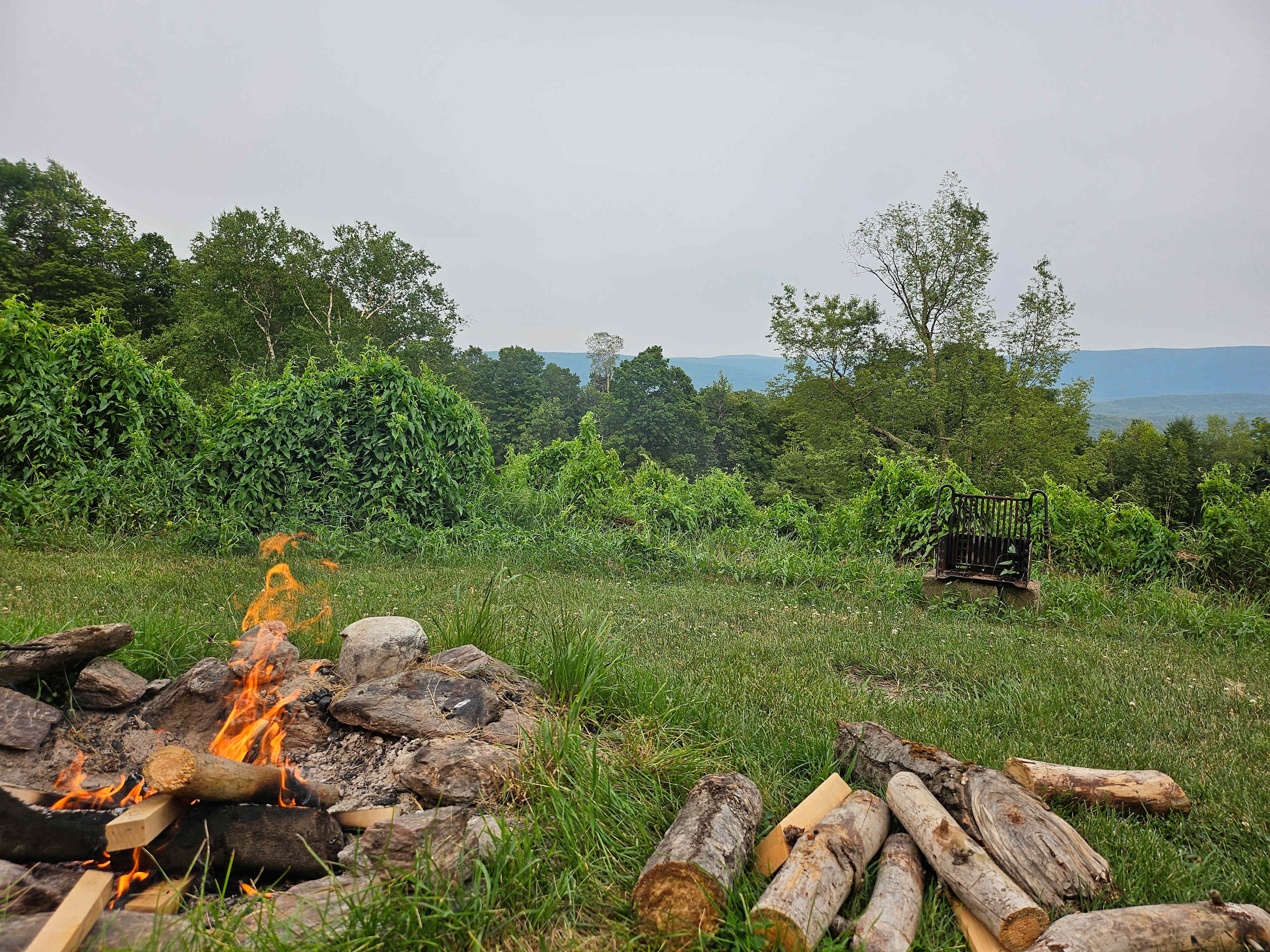 Timbertrail Farm