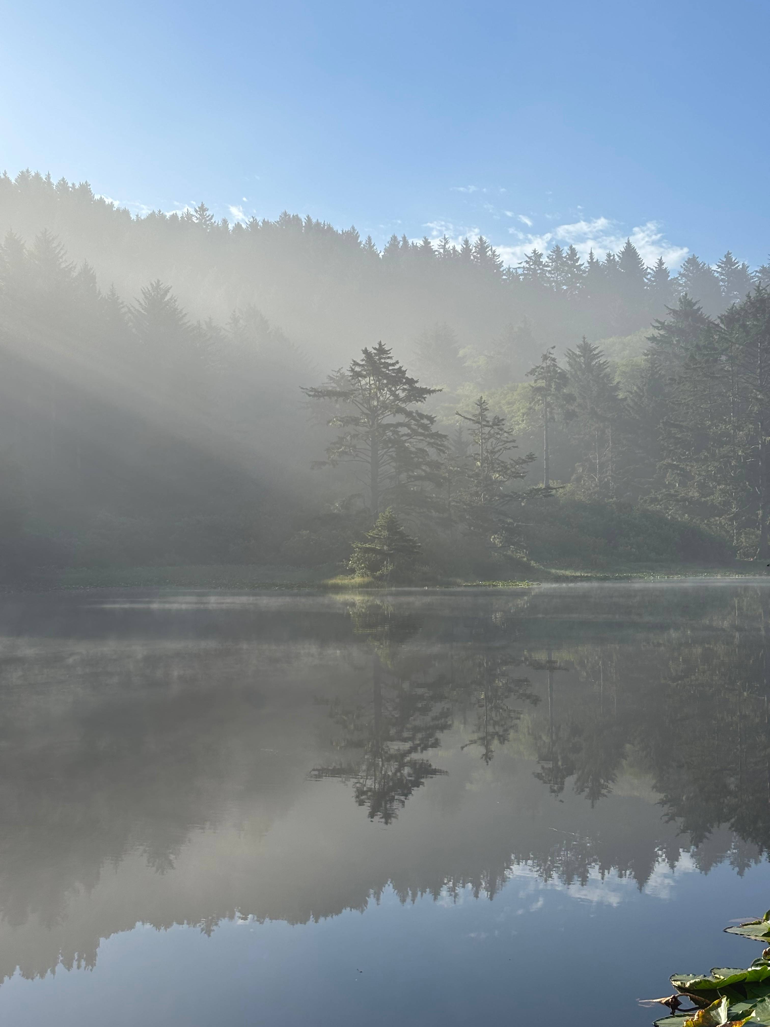 The Lake Pasture