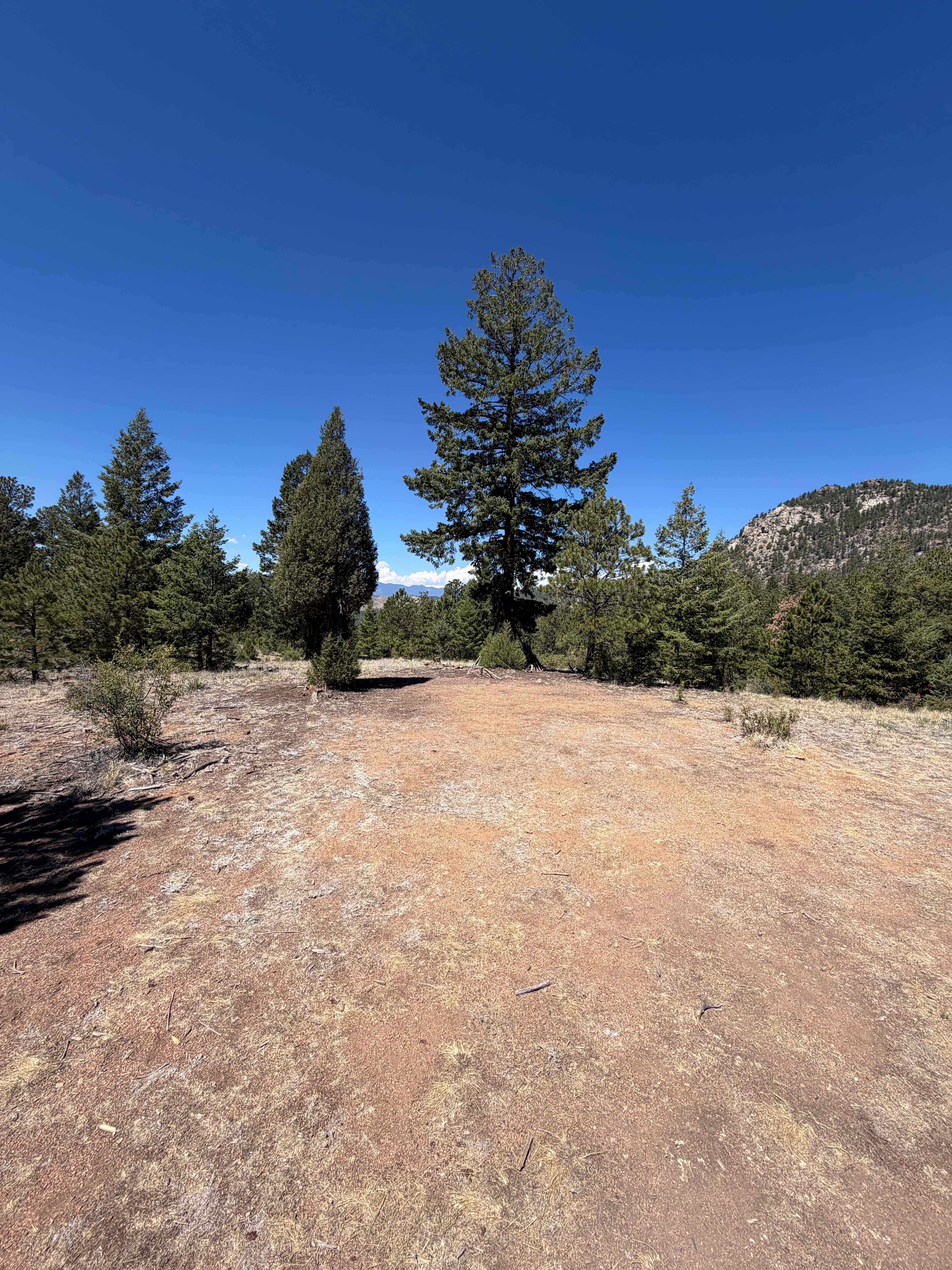 Serenity in the Foothills