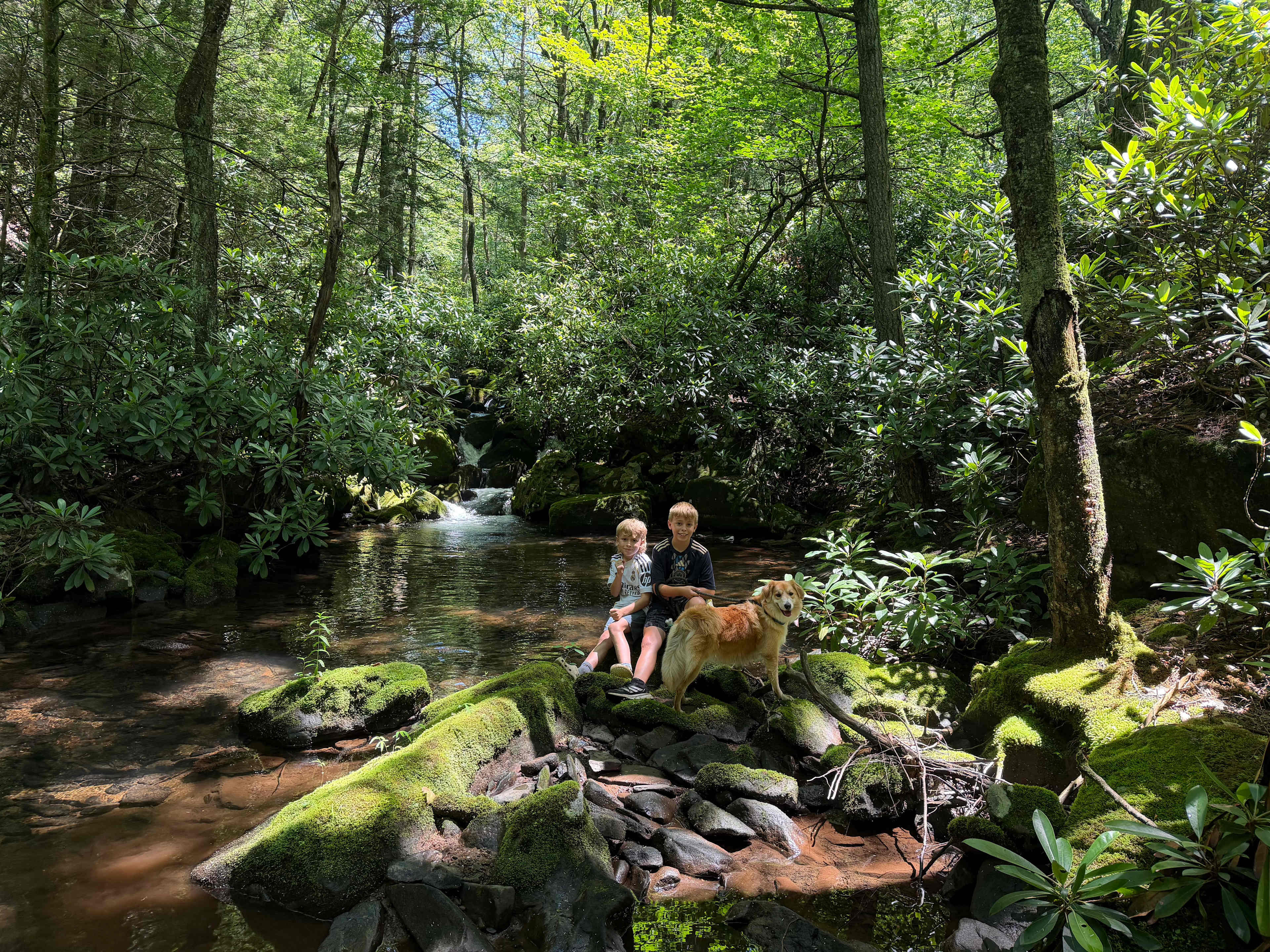 Camp Dietrich on Bear Creek