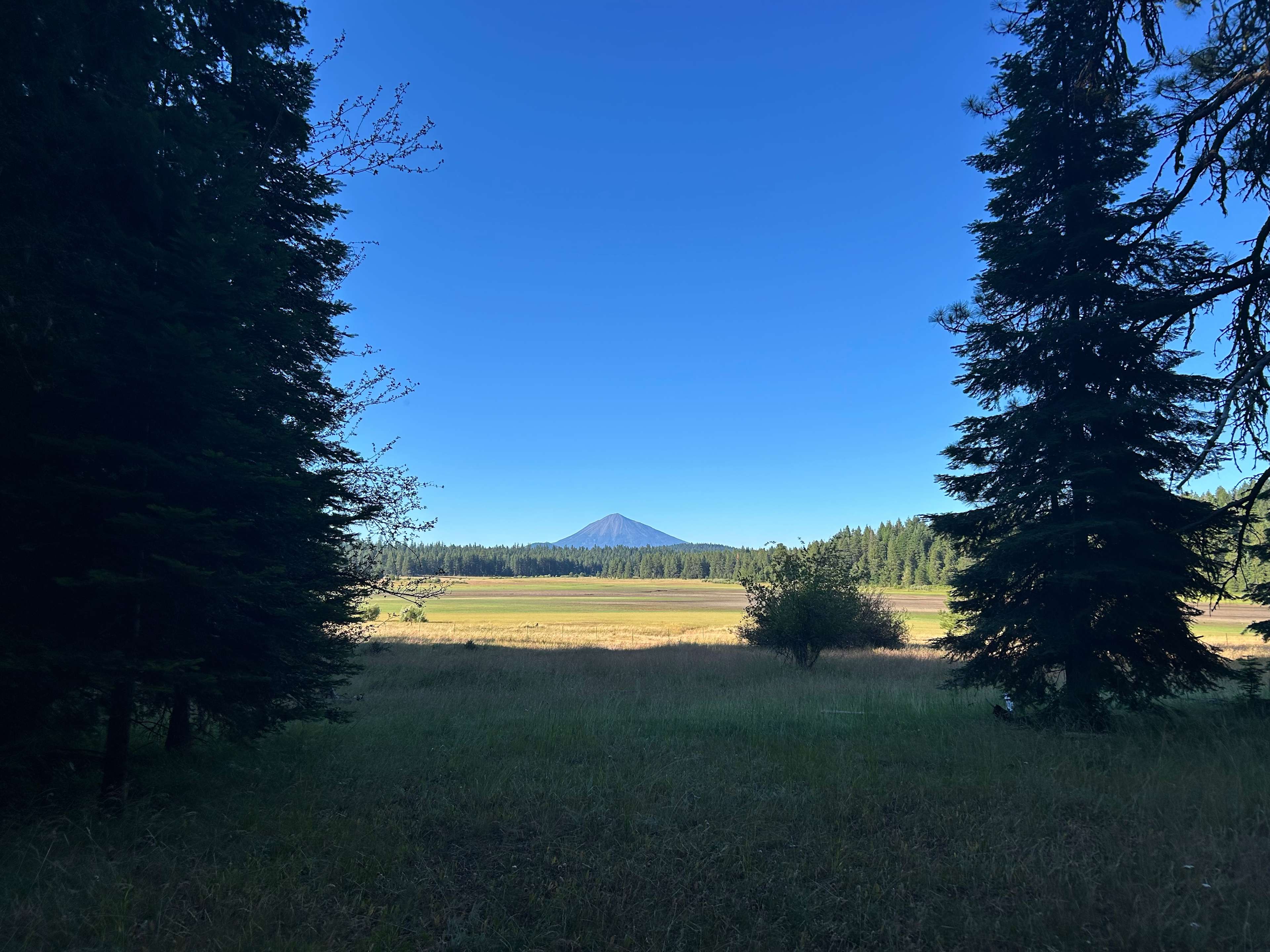 Willowdale Ranch