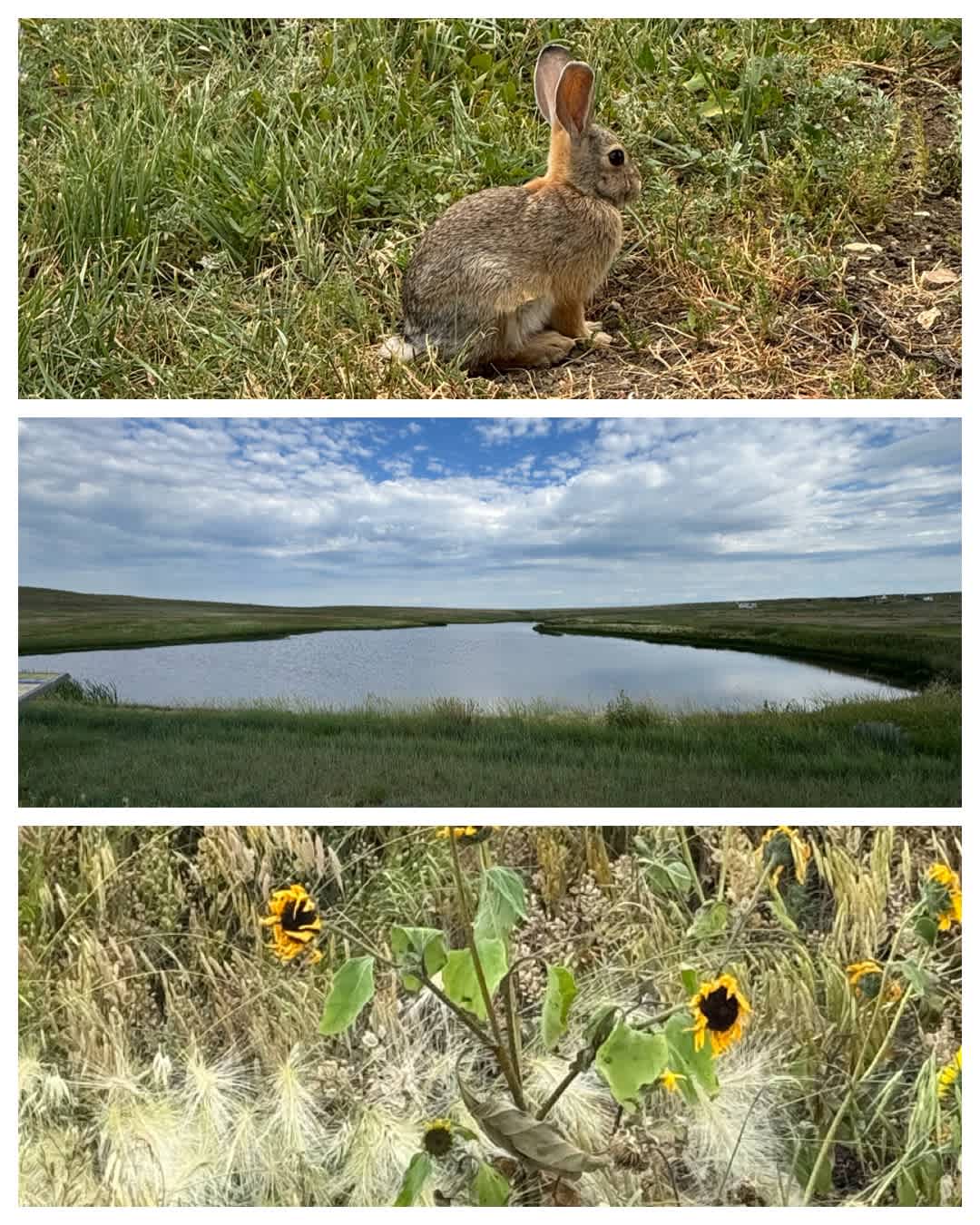 American Prairie Antelope Creek Campground