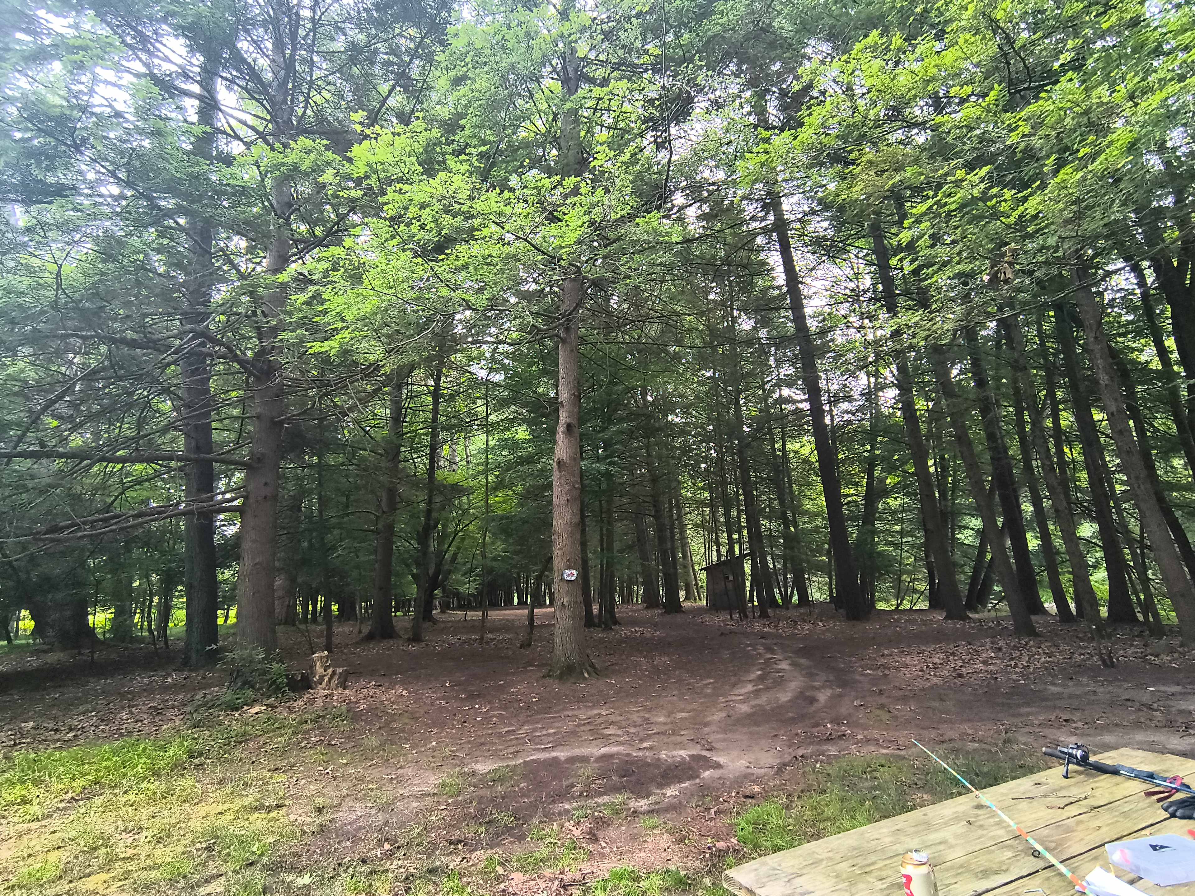 Forks Farm Campground