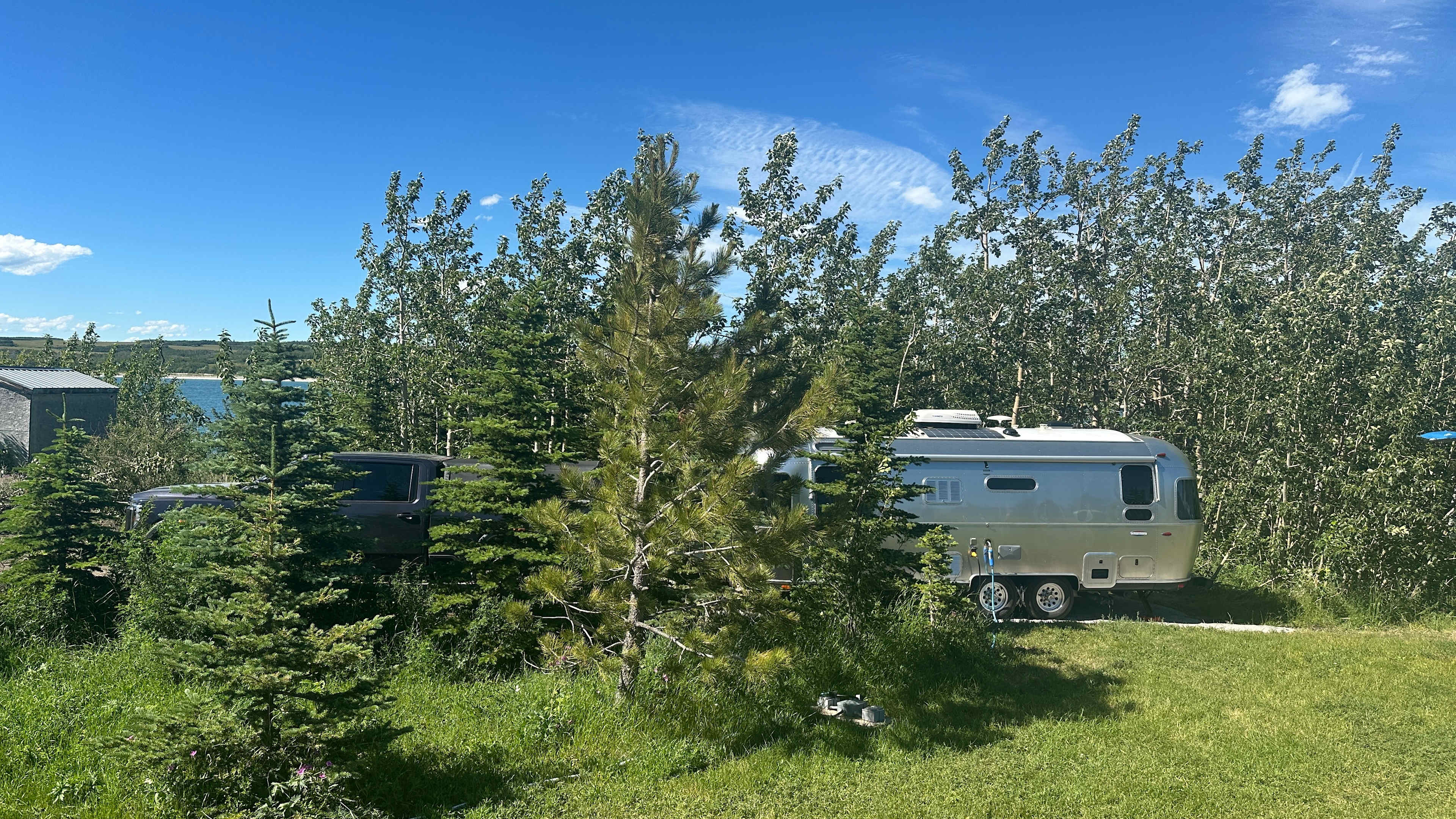 Tucked in amongst the trees!