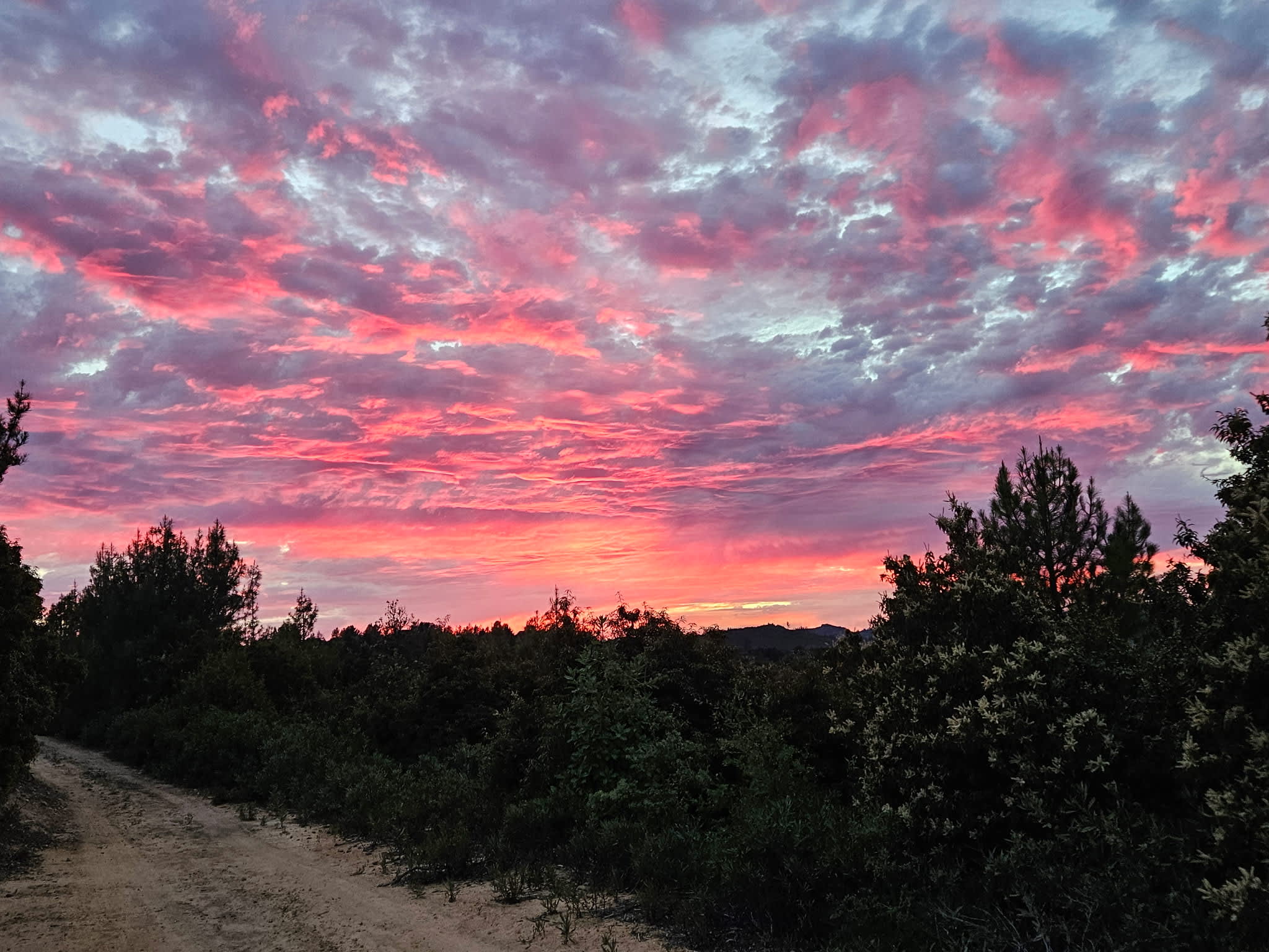 Santa Cruz Mountains with ocean 👁