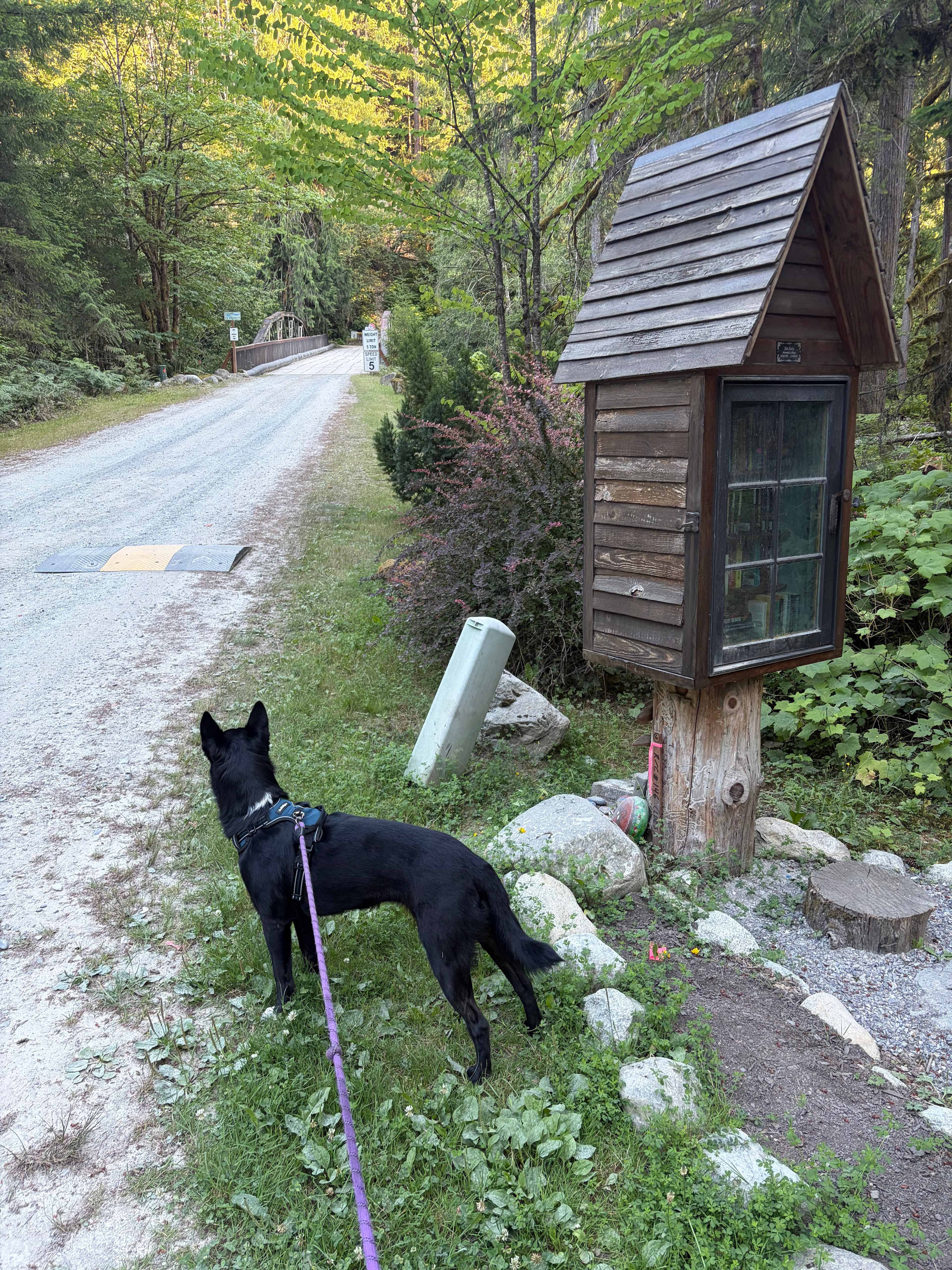 Keep walking past the little library and bridge.