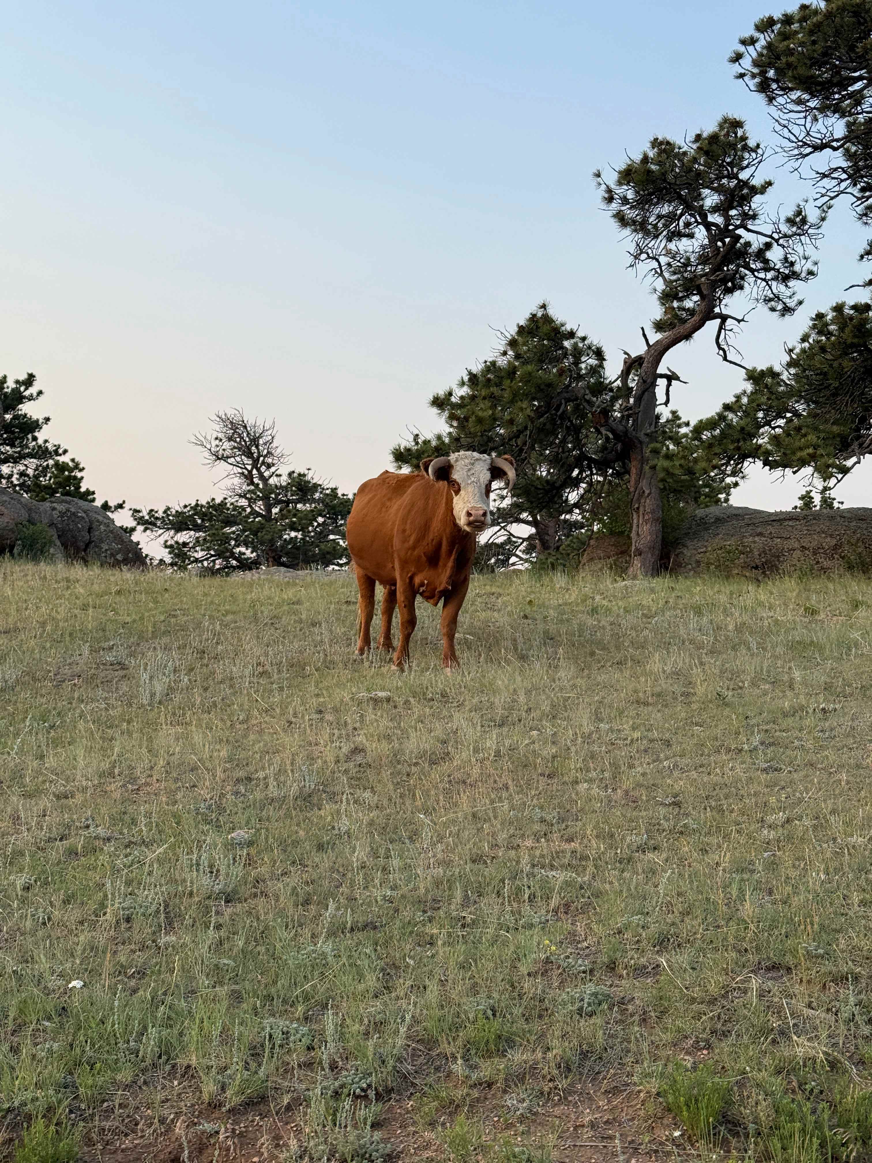 Logan Ranch Campground