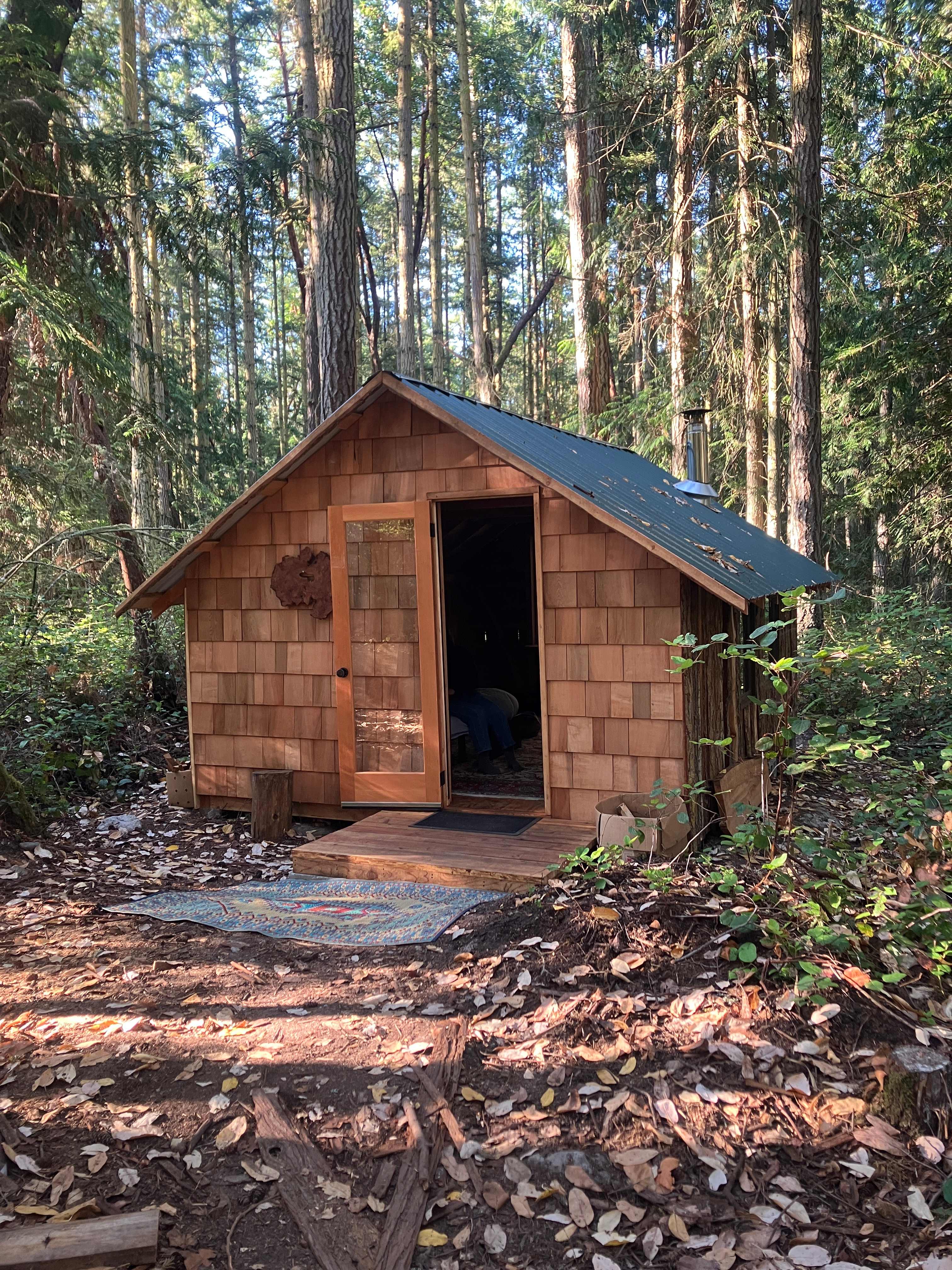 Primitive ForRest Cabin