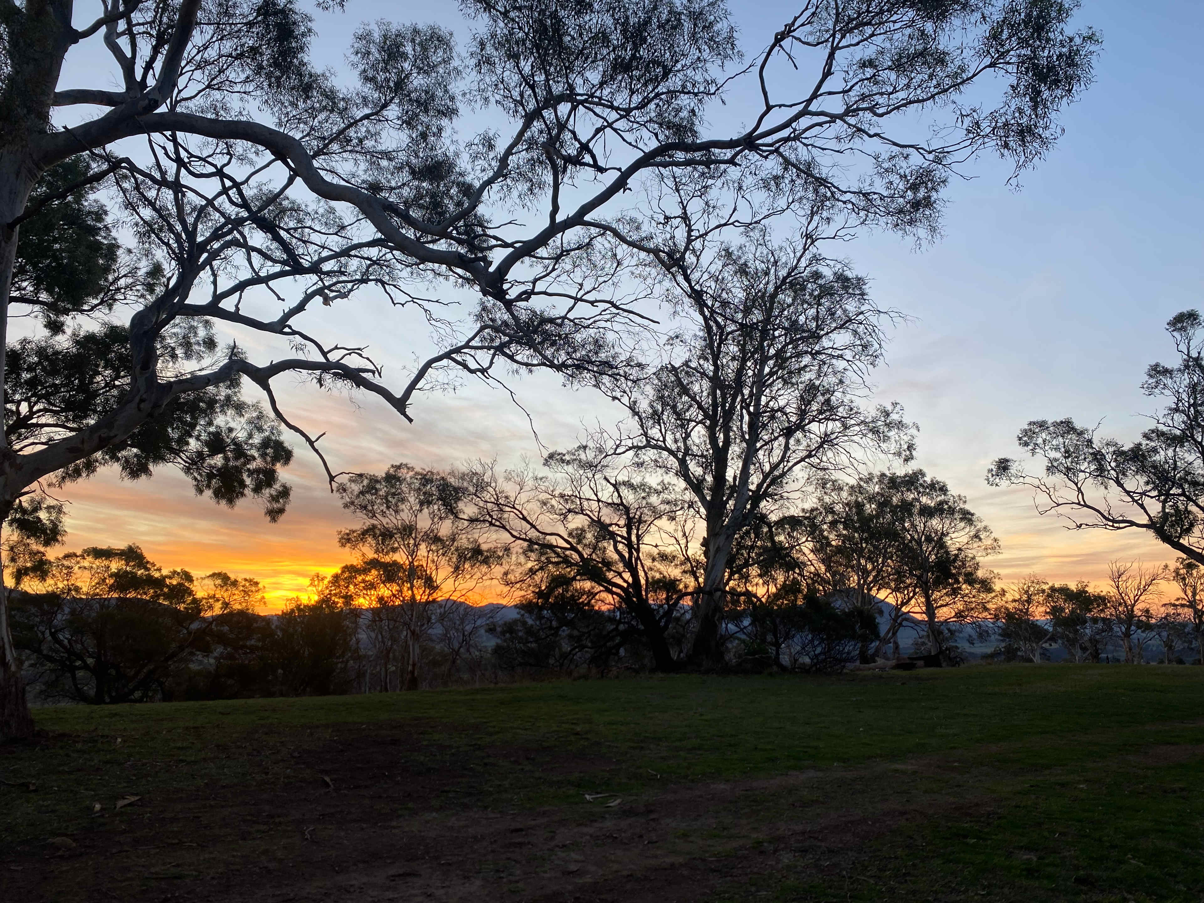 Winter sunset