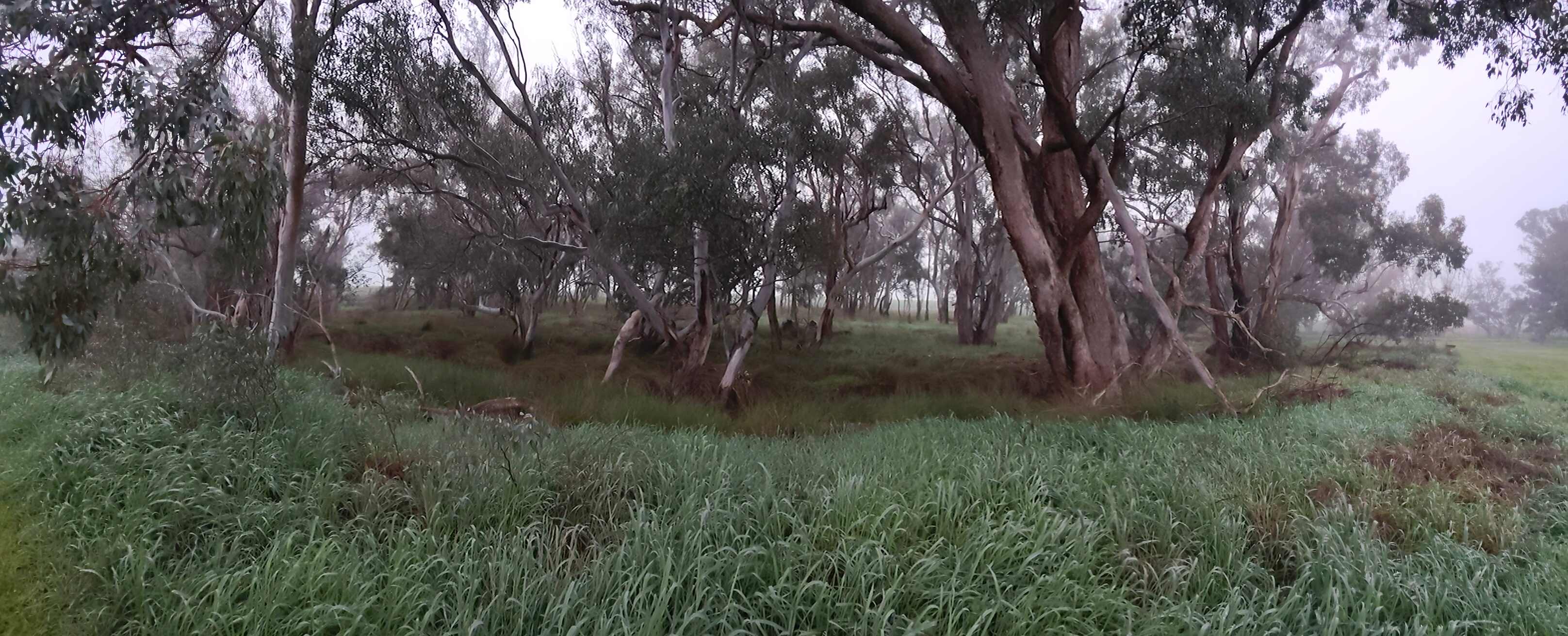 Wendouree Creek Camp