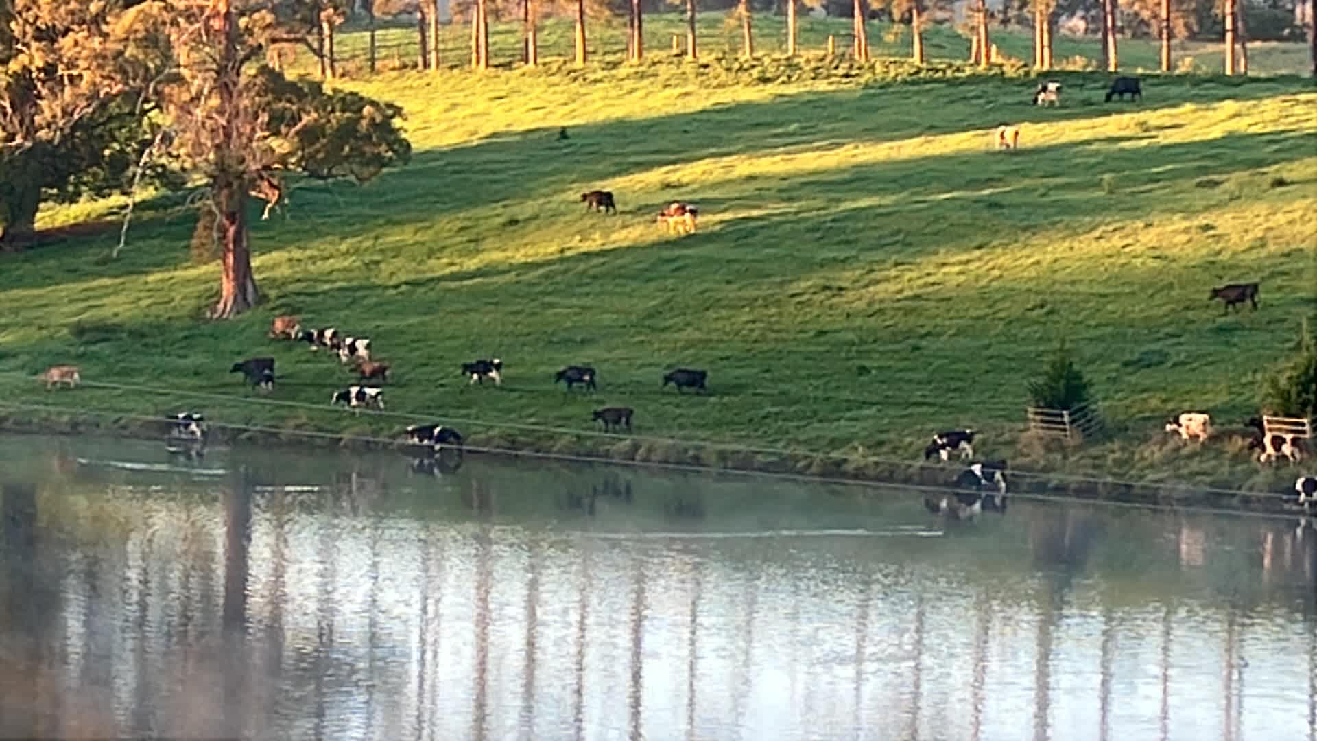Valley View Escape