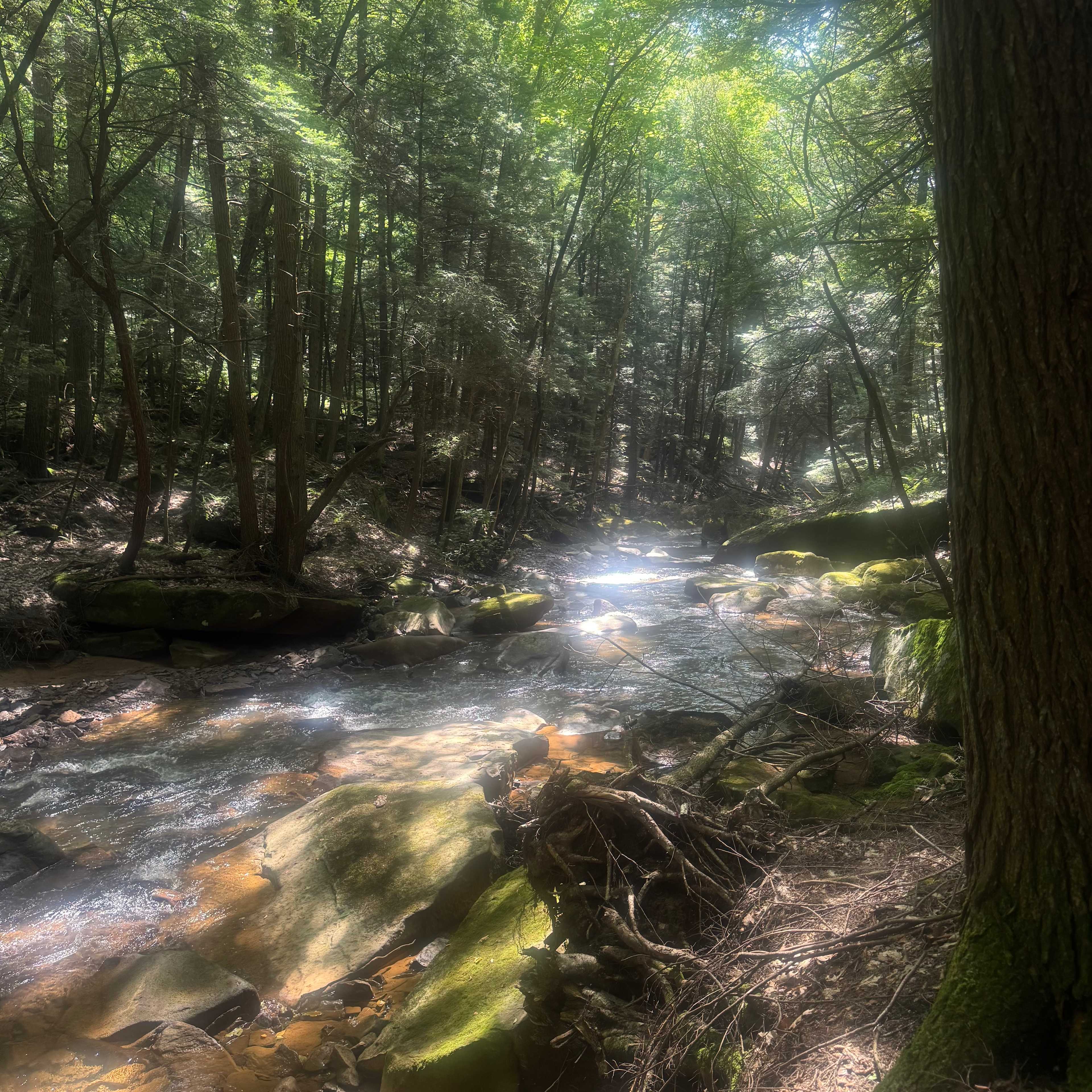 Hike along North country trail